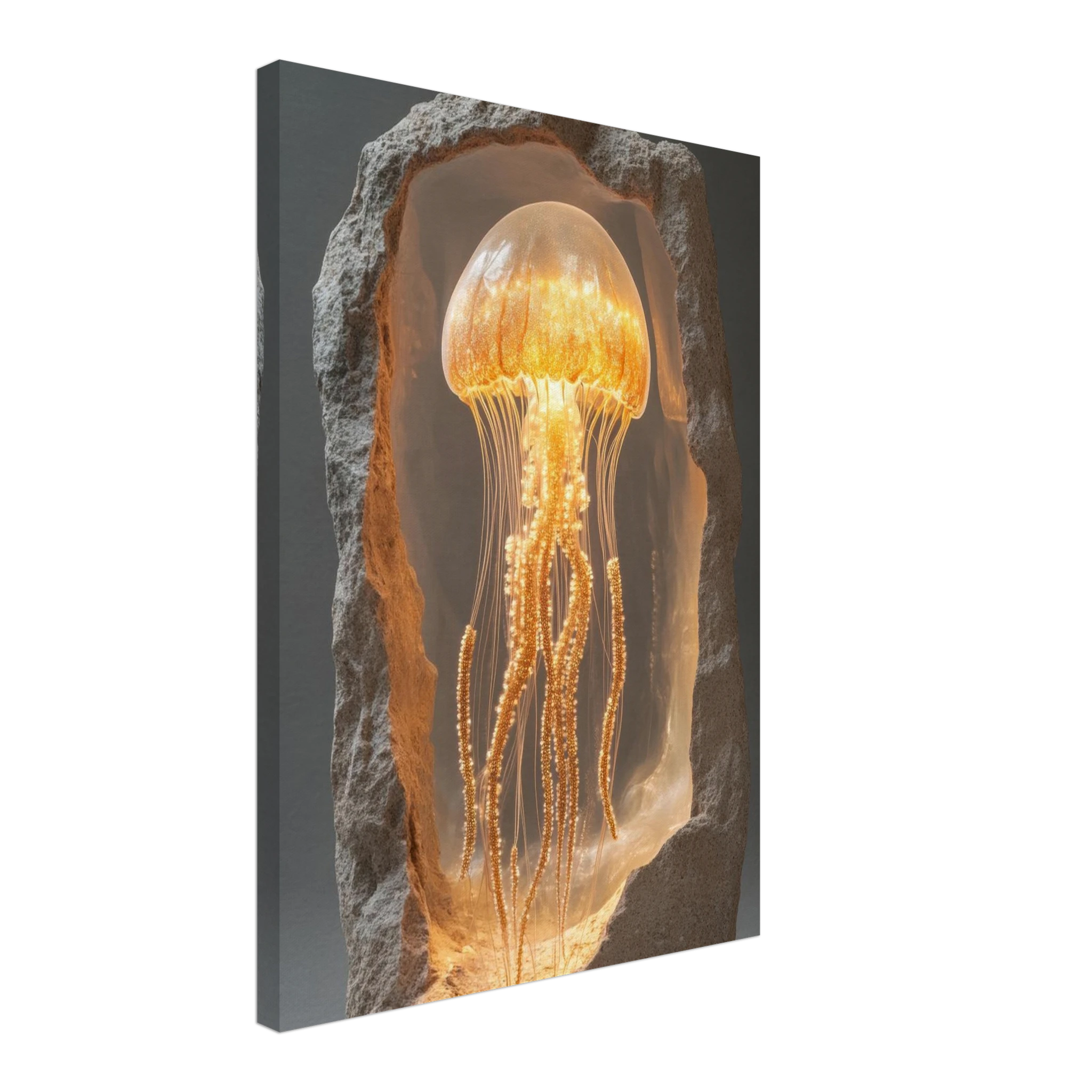 01fbdbda-55fb-4a48-97f5-0656c14bf228