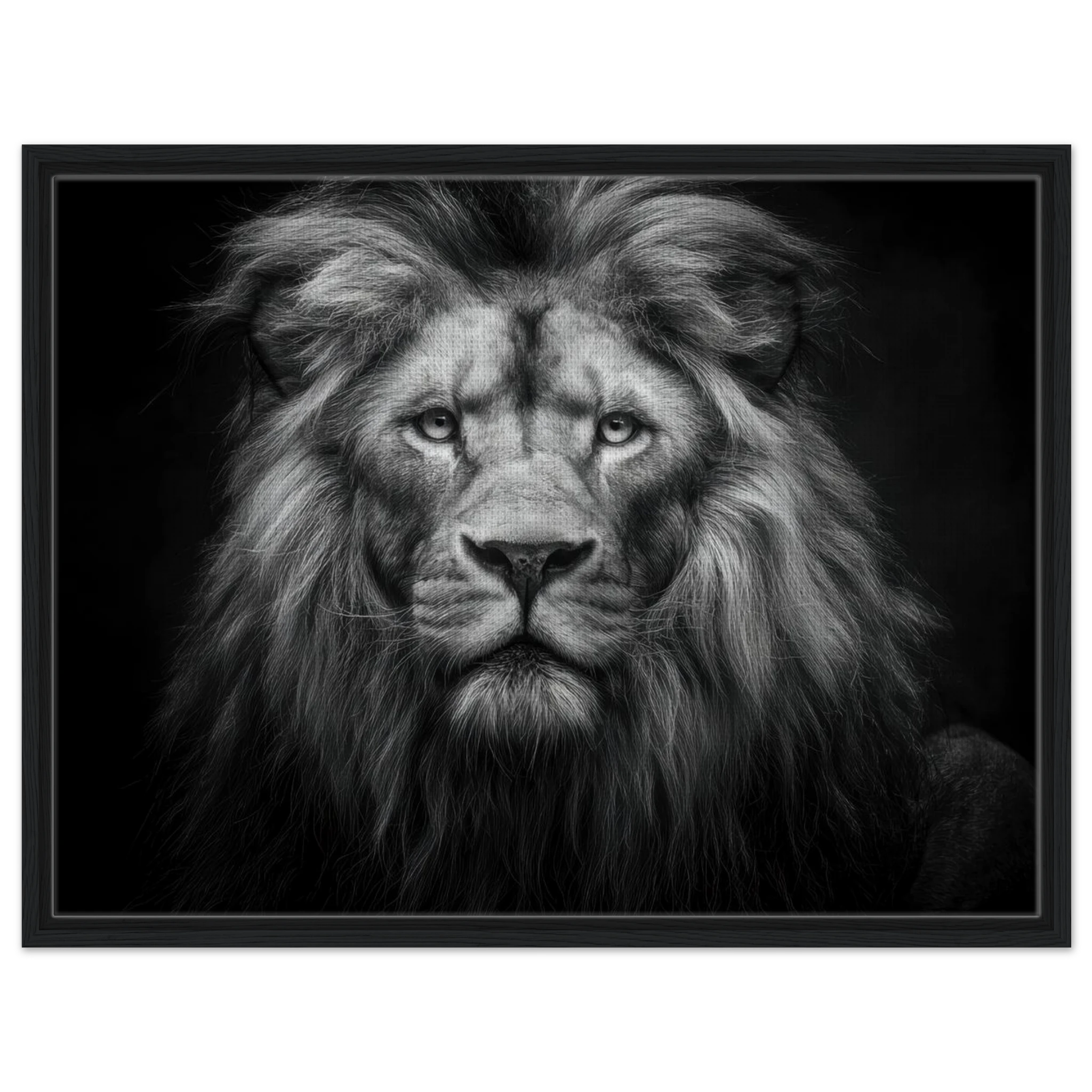 039c88f9-ec5e-4879-9a77-35ad7531f3e3