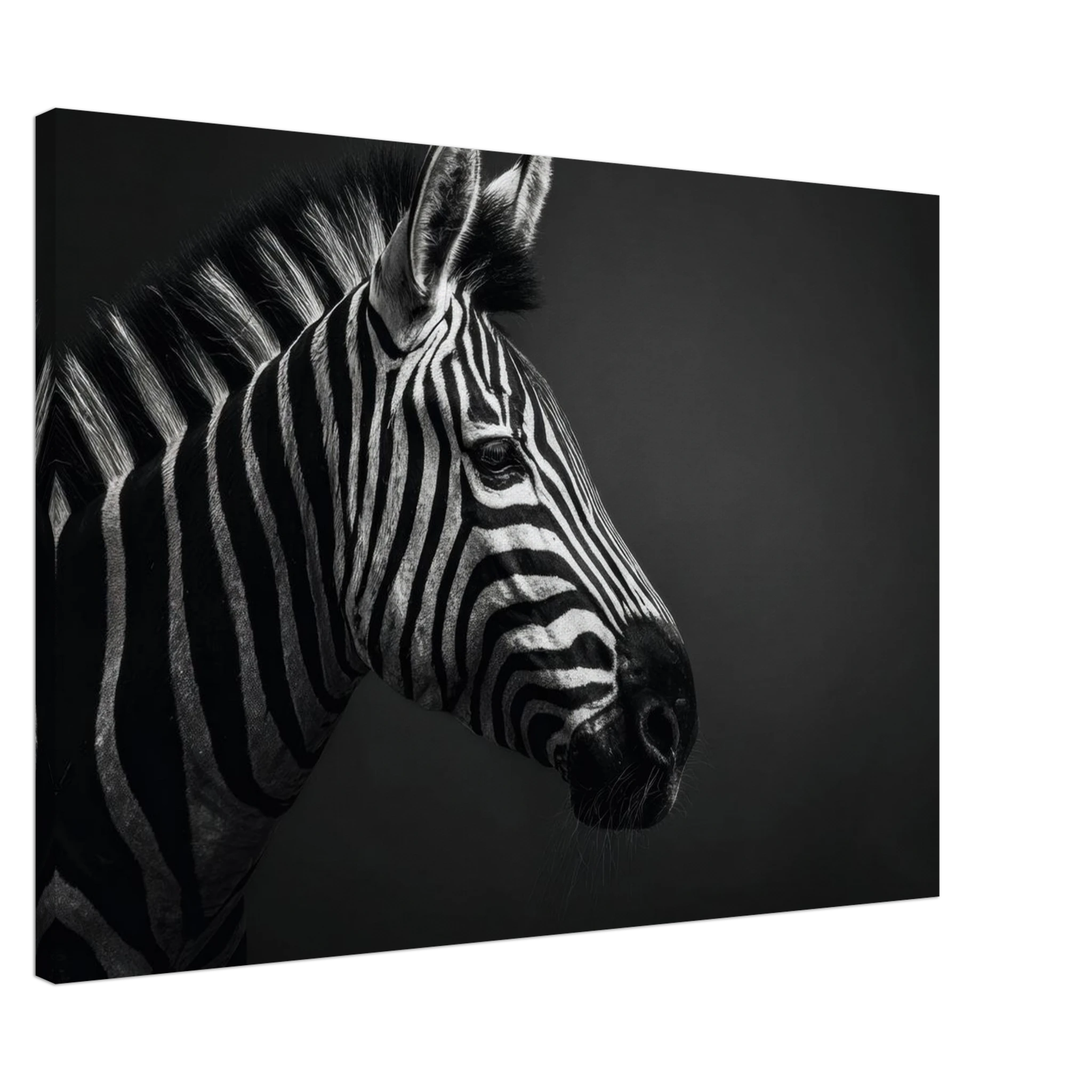 0e5d1093-e0c3-436b-a22e-4bd32bb3240d