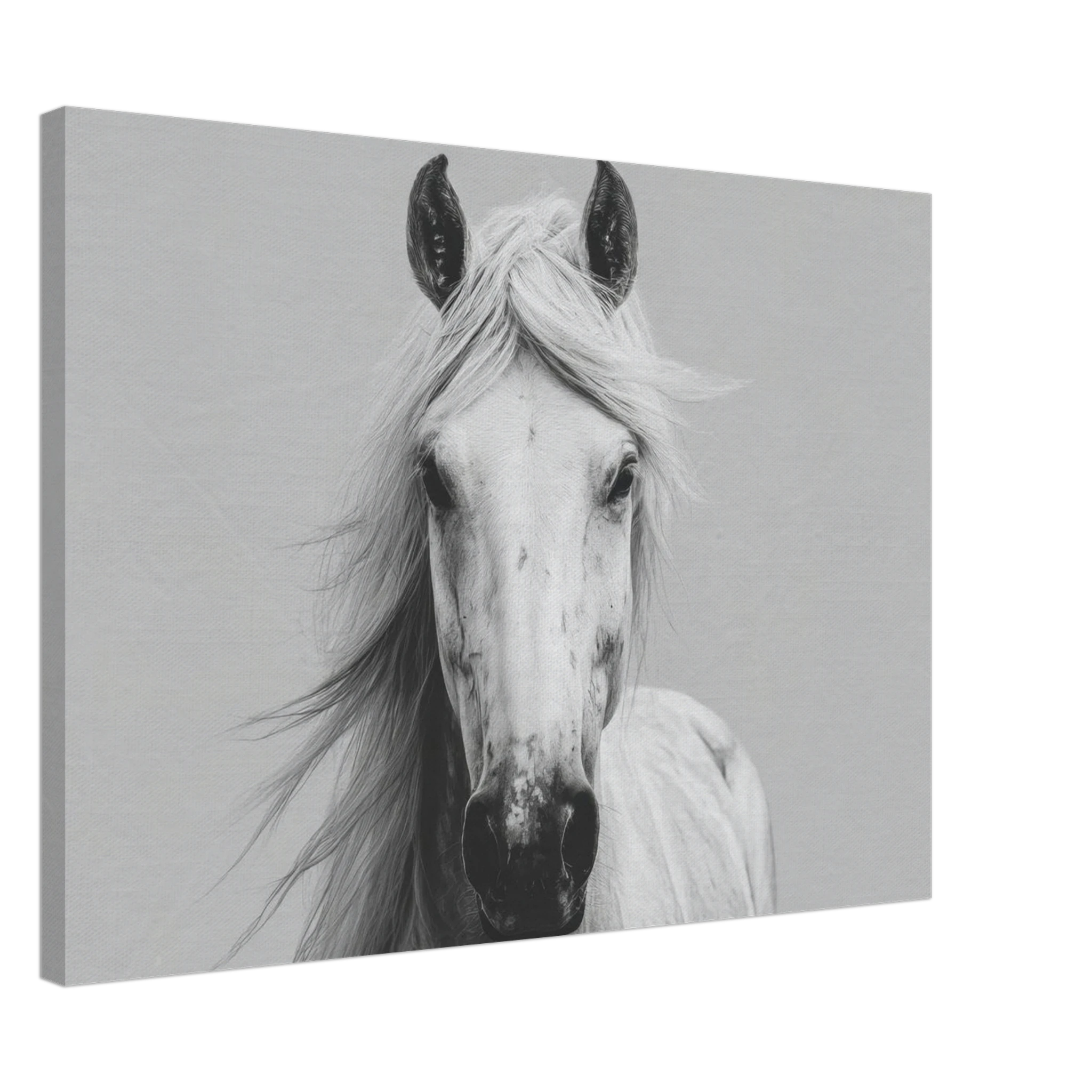 11c8ef36-e19a-4968-b552-4982d0509115