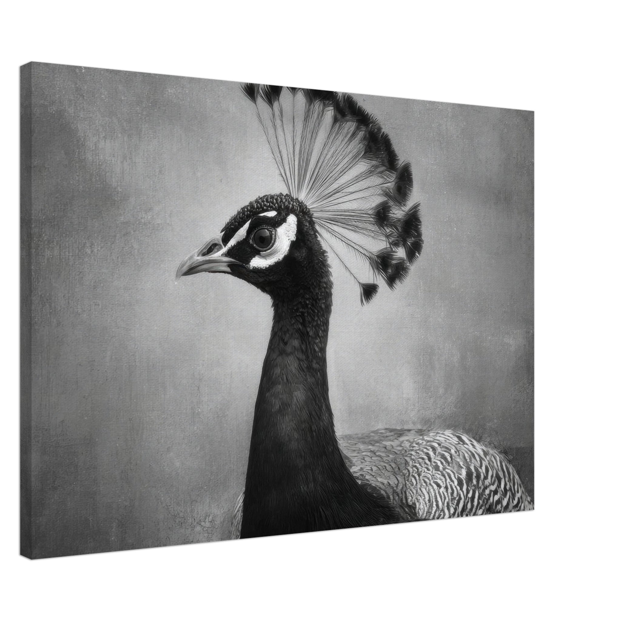 14ab5d01-294e-420b-b940-f1be8721159c