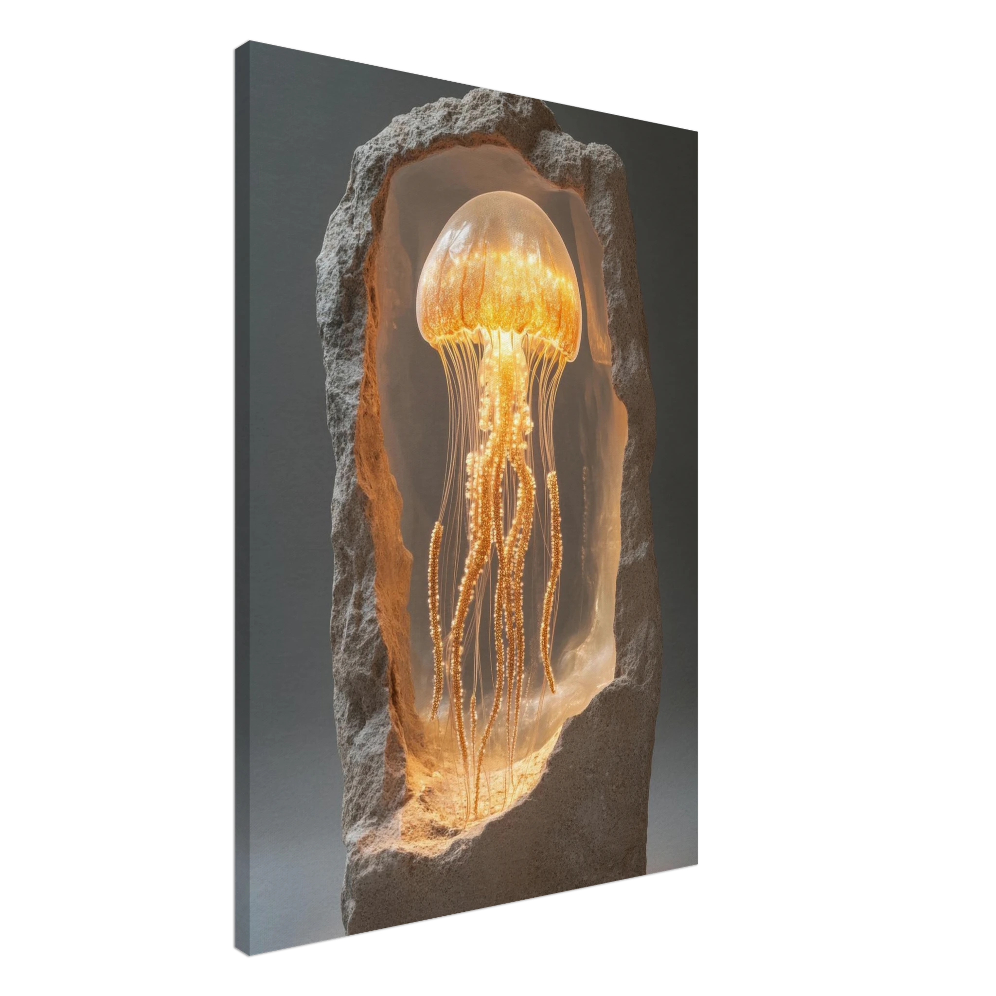 269eb07b-210d-499a-924f-4376686c0609