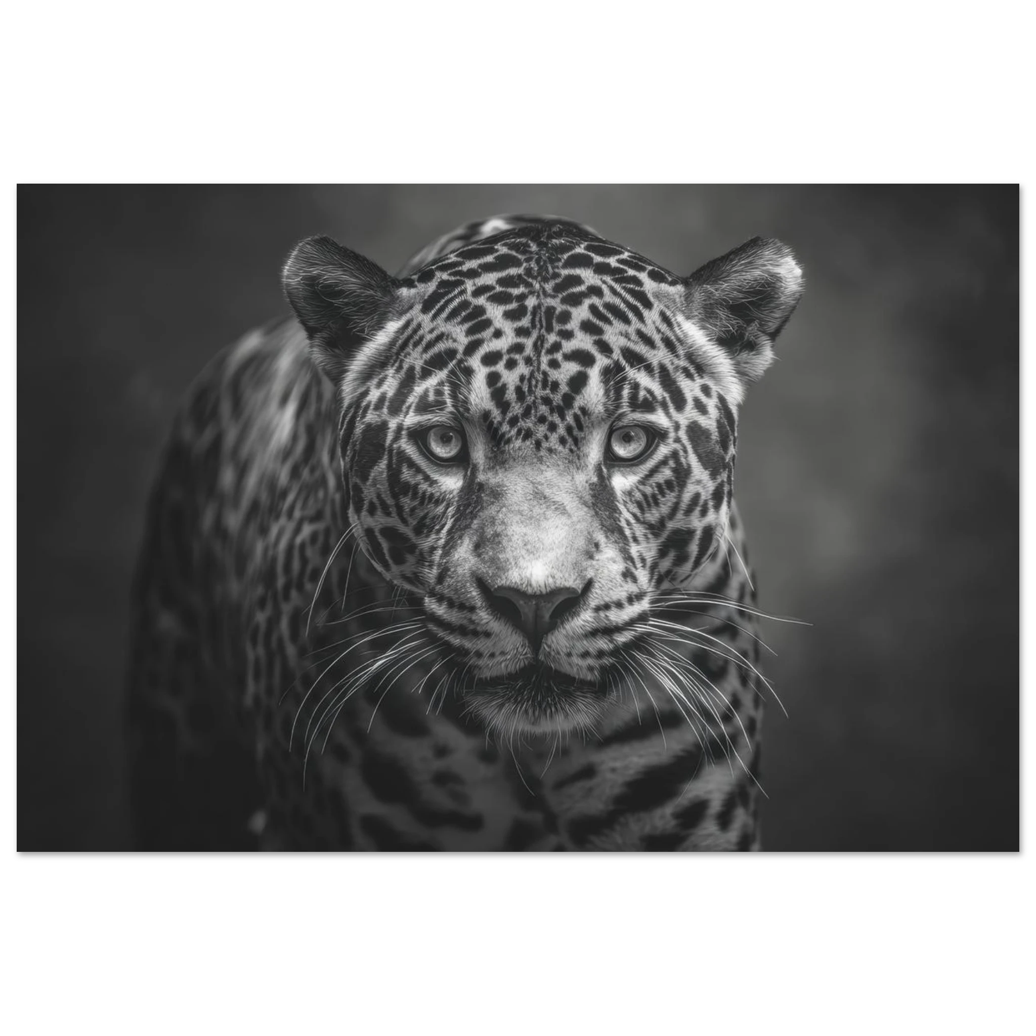 284b95c9-dd9c-4a7a-ab88-0c1b1a1eaa19