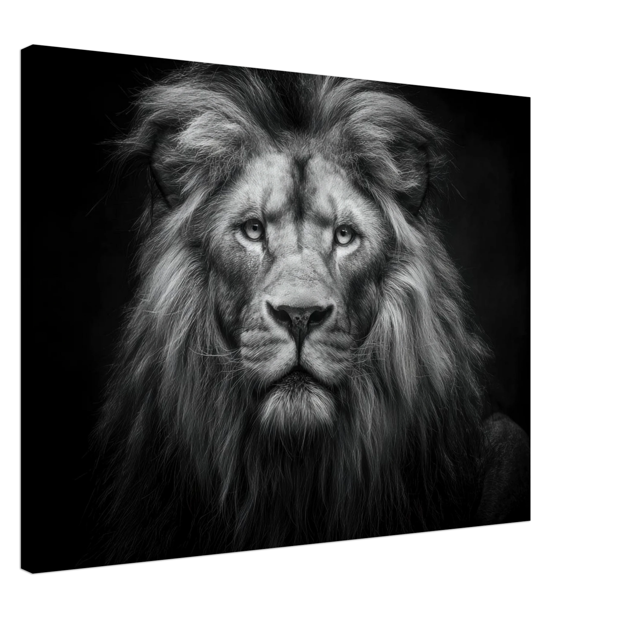 299de33a-a08b-4f48-a407-0618a21eca27