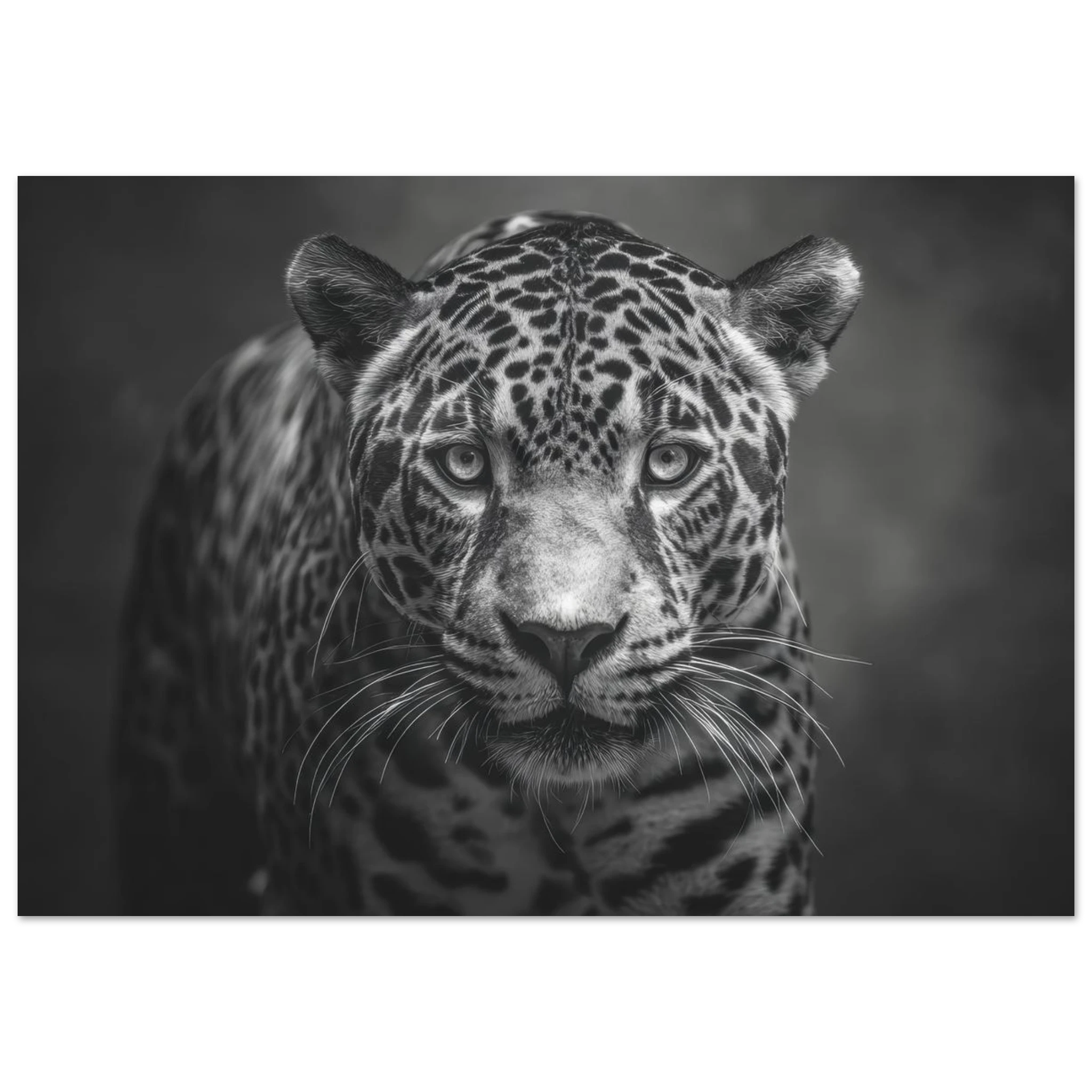 2b84e19f-dd93-4a1f-b60b-153c555e6dcb