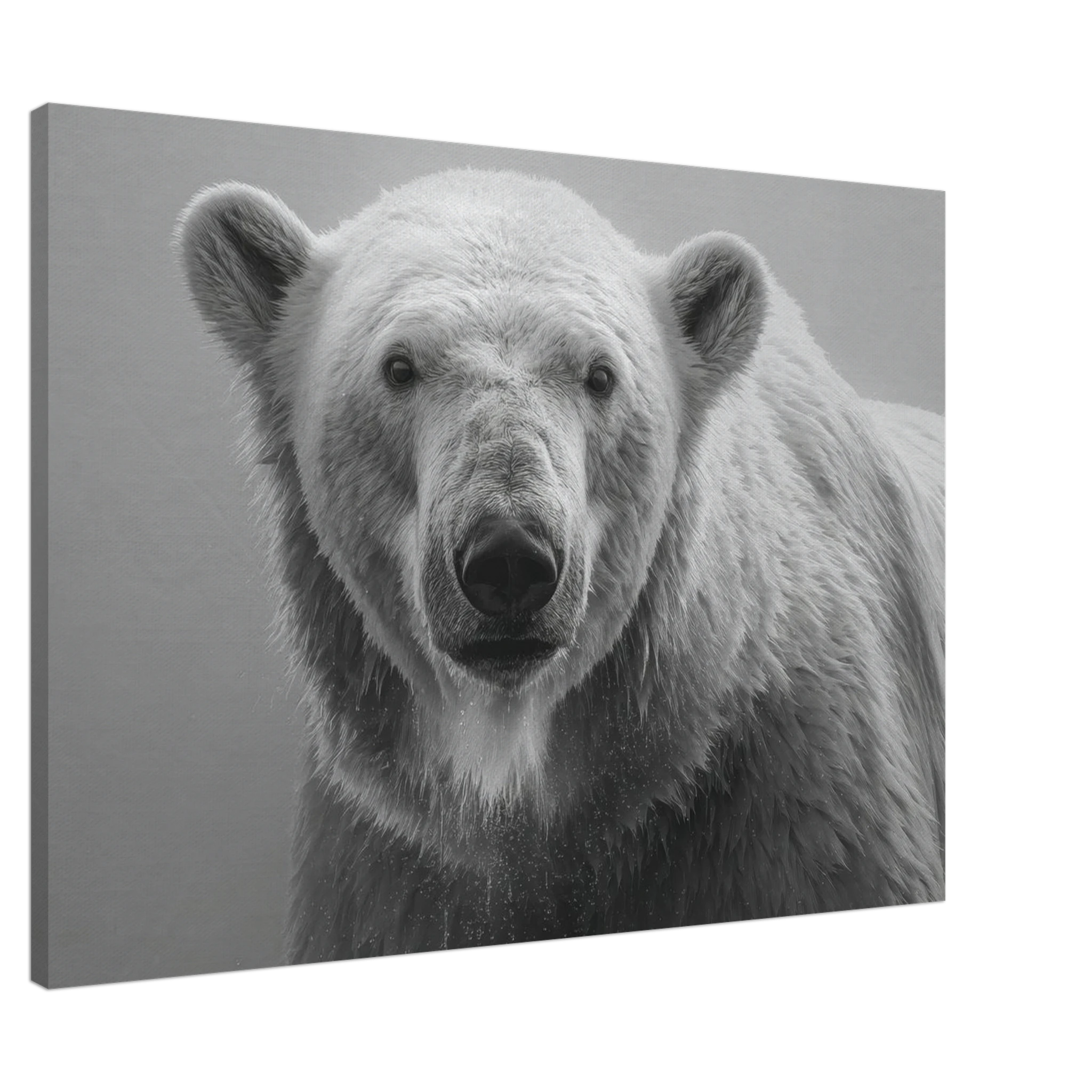 2e5b7ca0-b42f-4dc0-b3e8-8f6dc67e194d