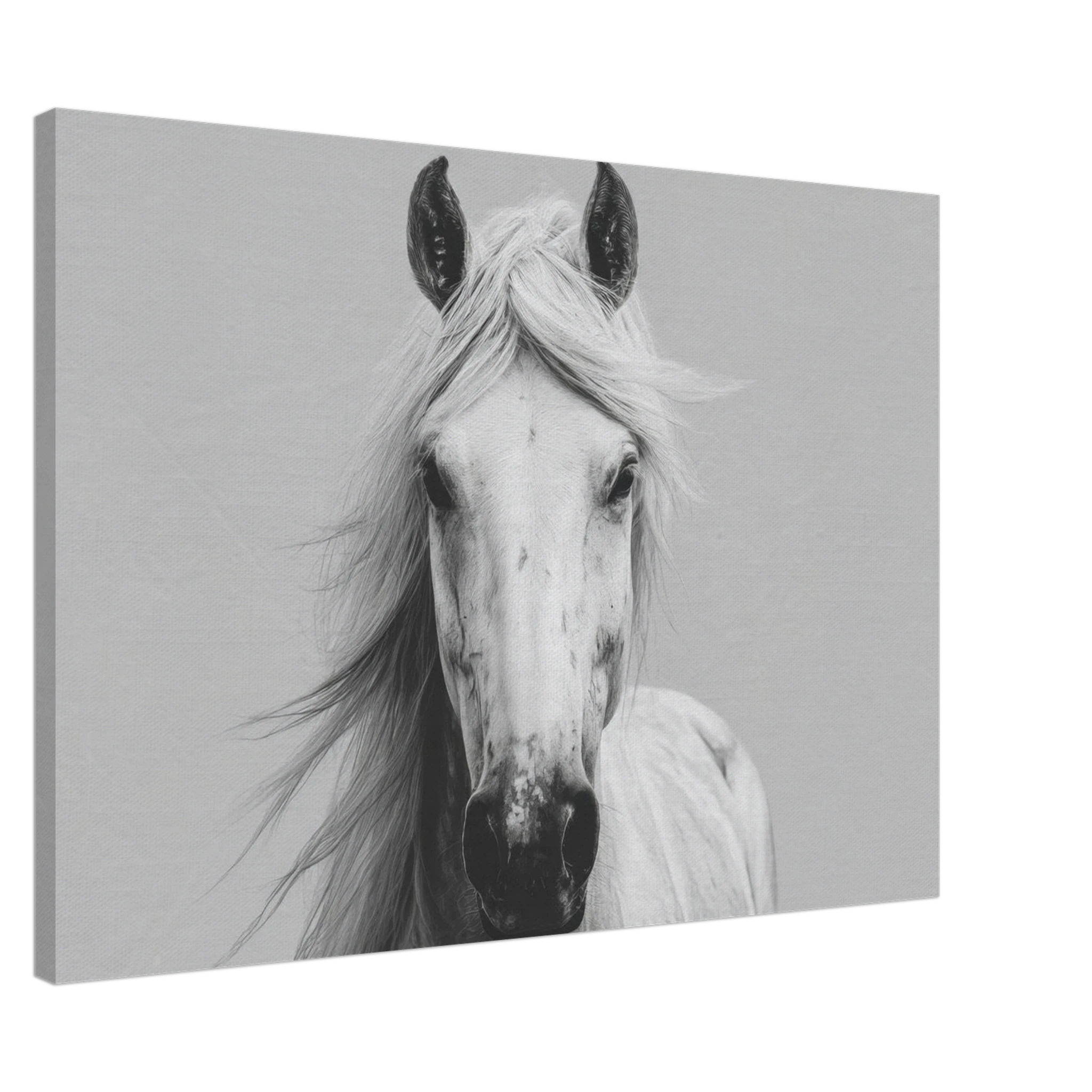 4ac2116c-2201-4b65-8e7a-b301f701fd31