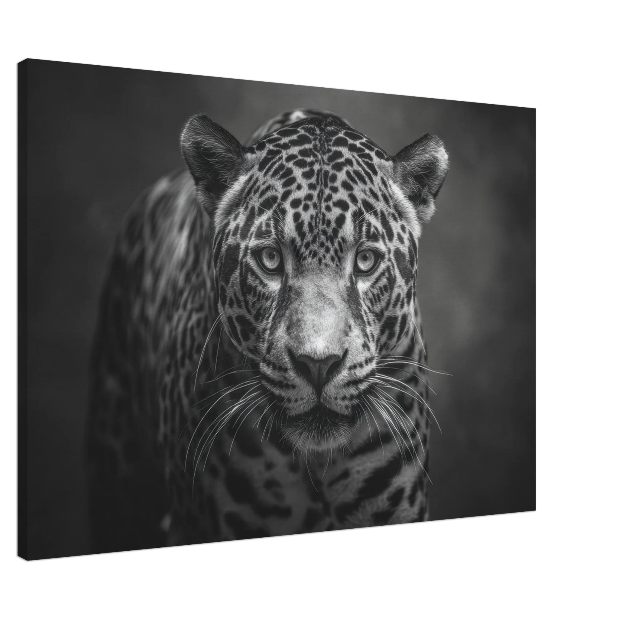 4eb9c648-2893-417d-98db-2263b0f225c0