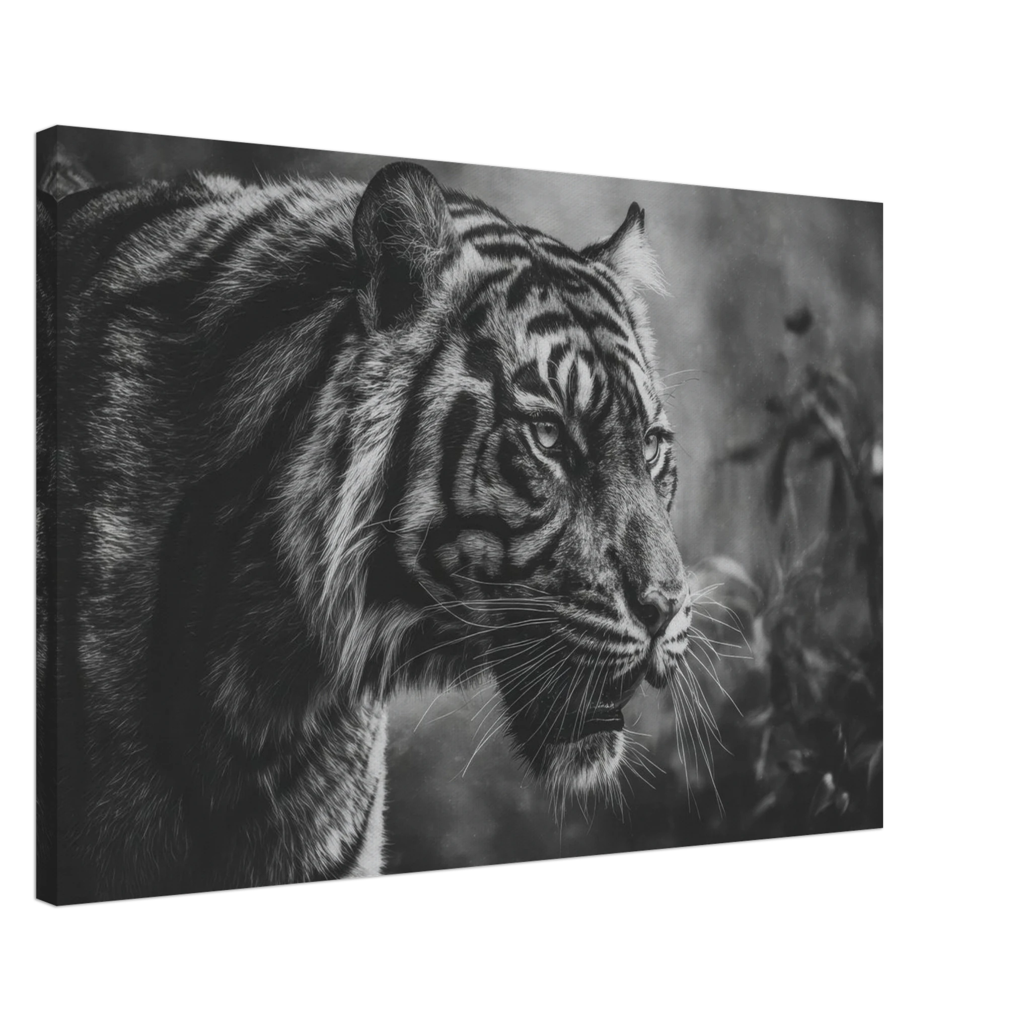 5559a217-f7fb-4f33-9070-d0fd3063d3f2