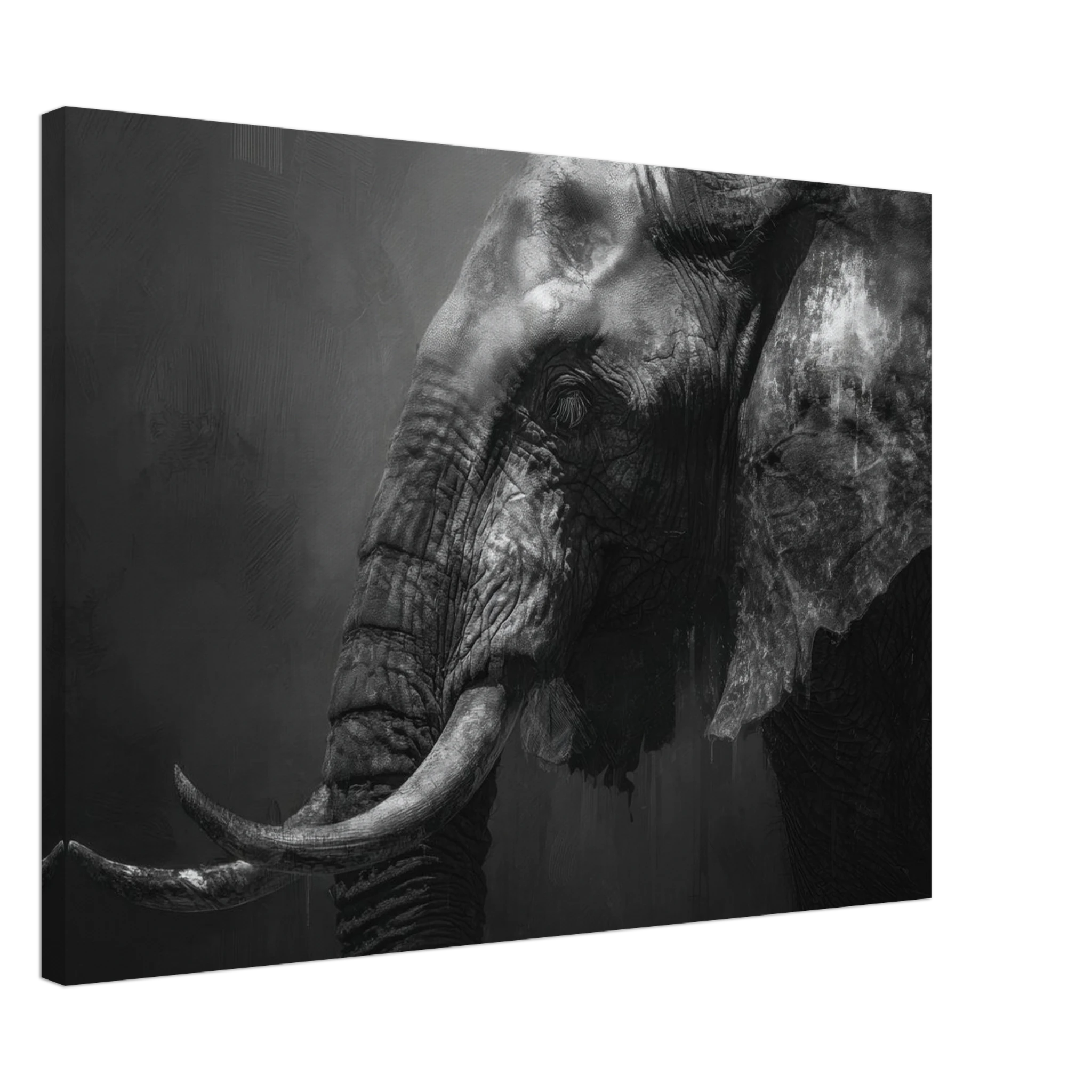 5648c6cc-d1f2-4f89-aab8-ef53a2797655