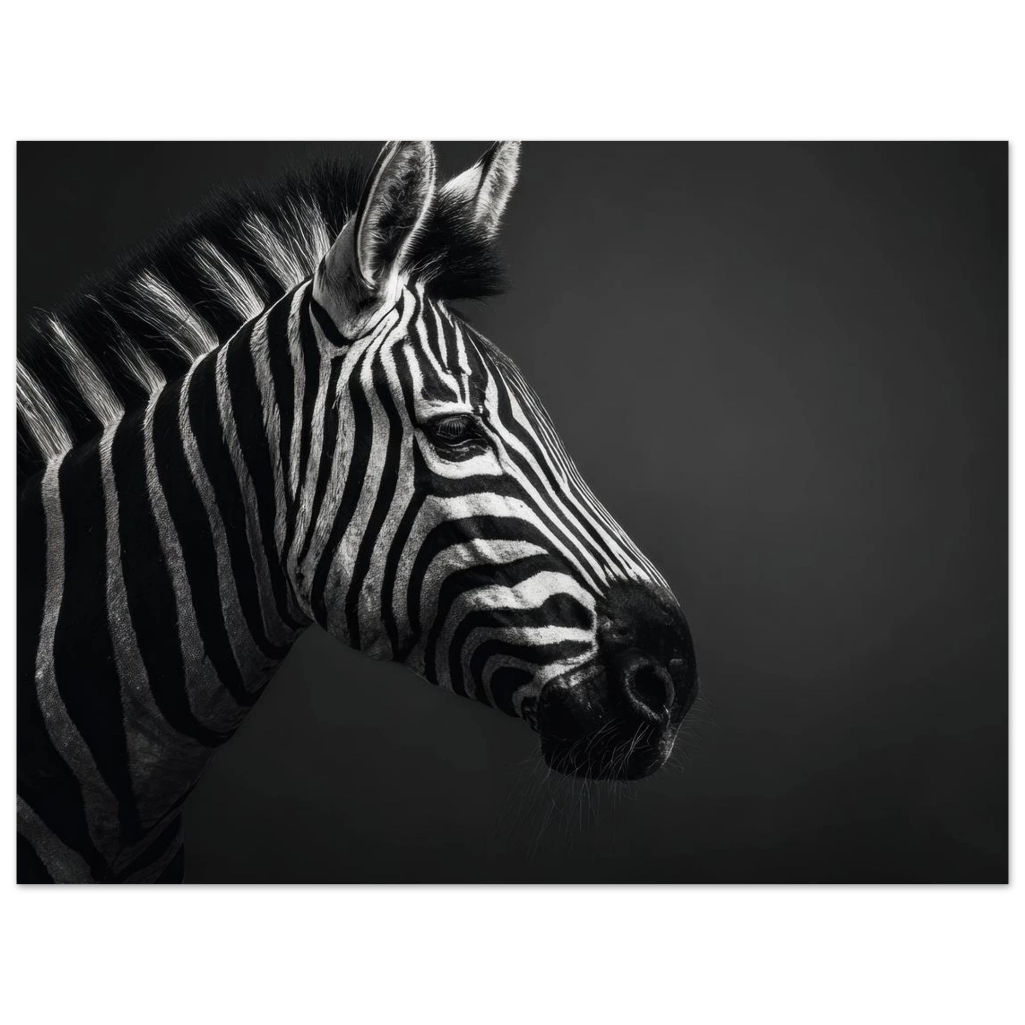 5701b5cf-c5a9-44e8-a61e-34b621f7c622