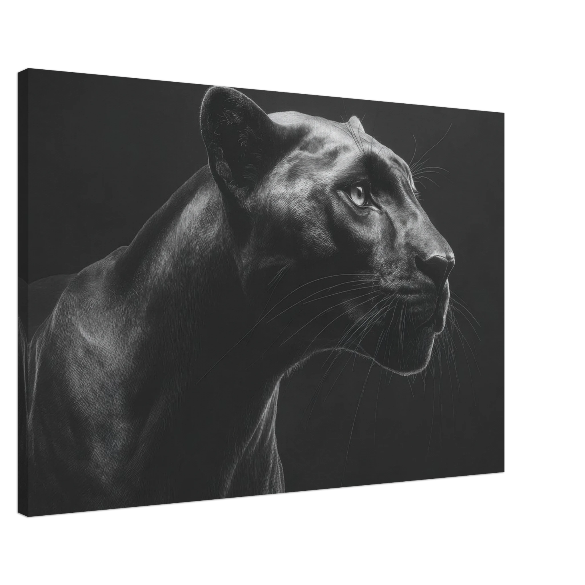 5f833103-b71a-4825-8de2-6b4810ca7892