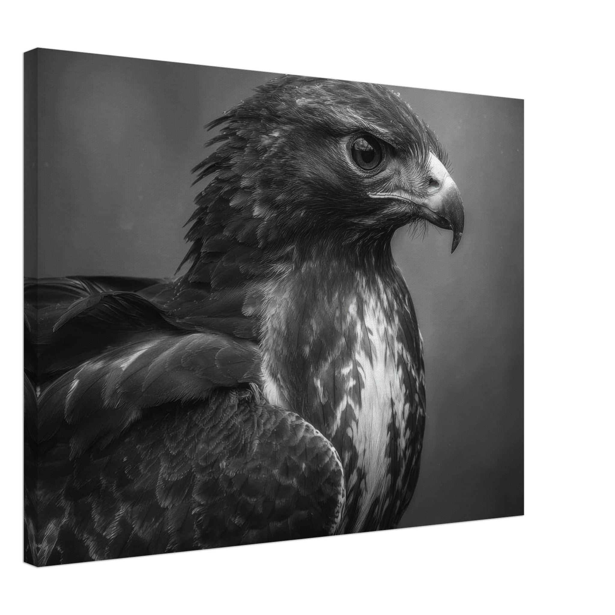 603e42e3-d593-4e37-973f-5f67bdce0764