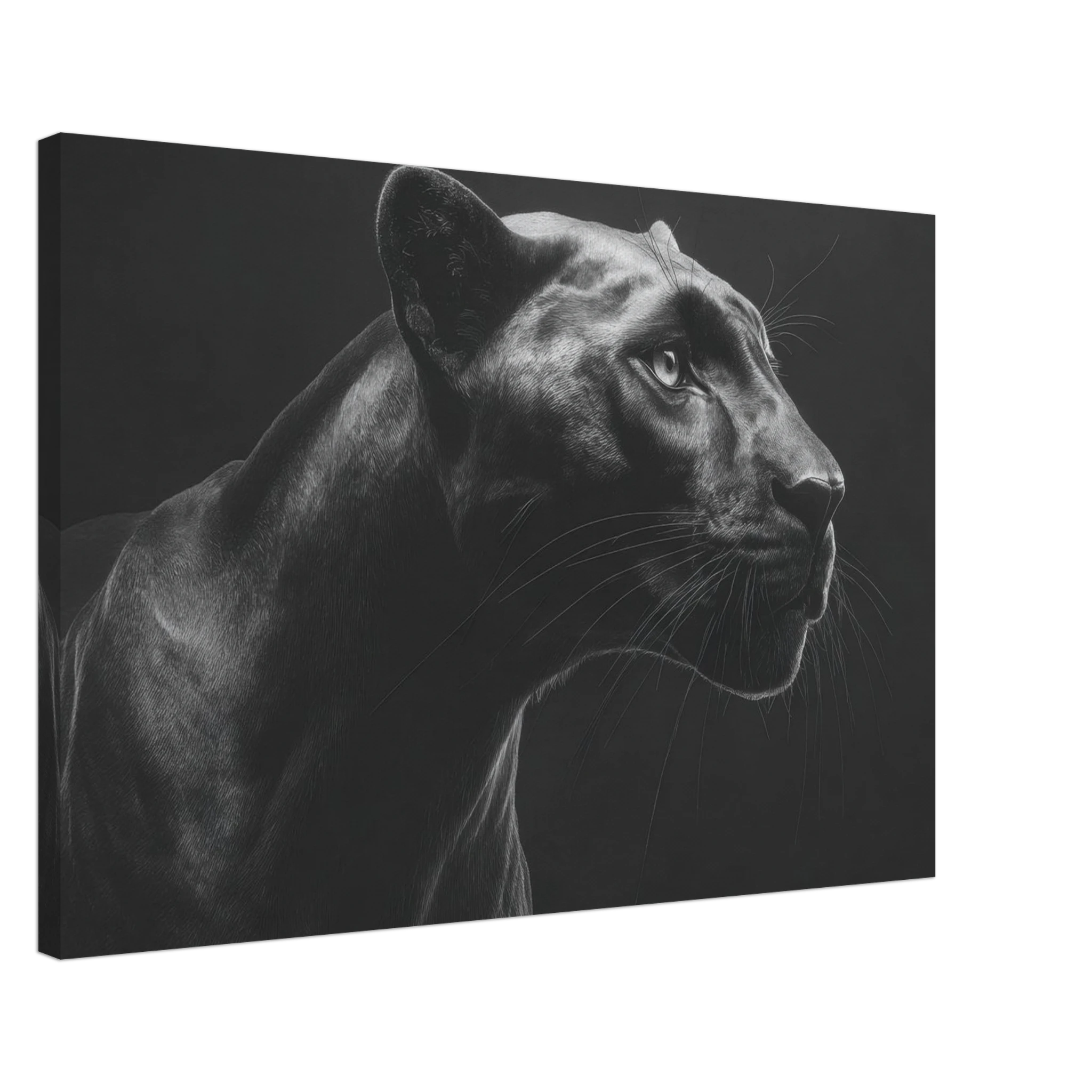 6161b86c-1abc-4c09-8b5a-9f2f61cd5a88