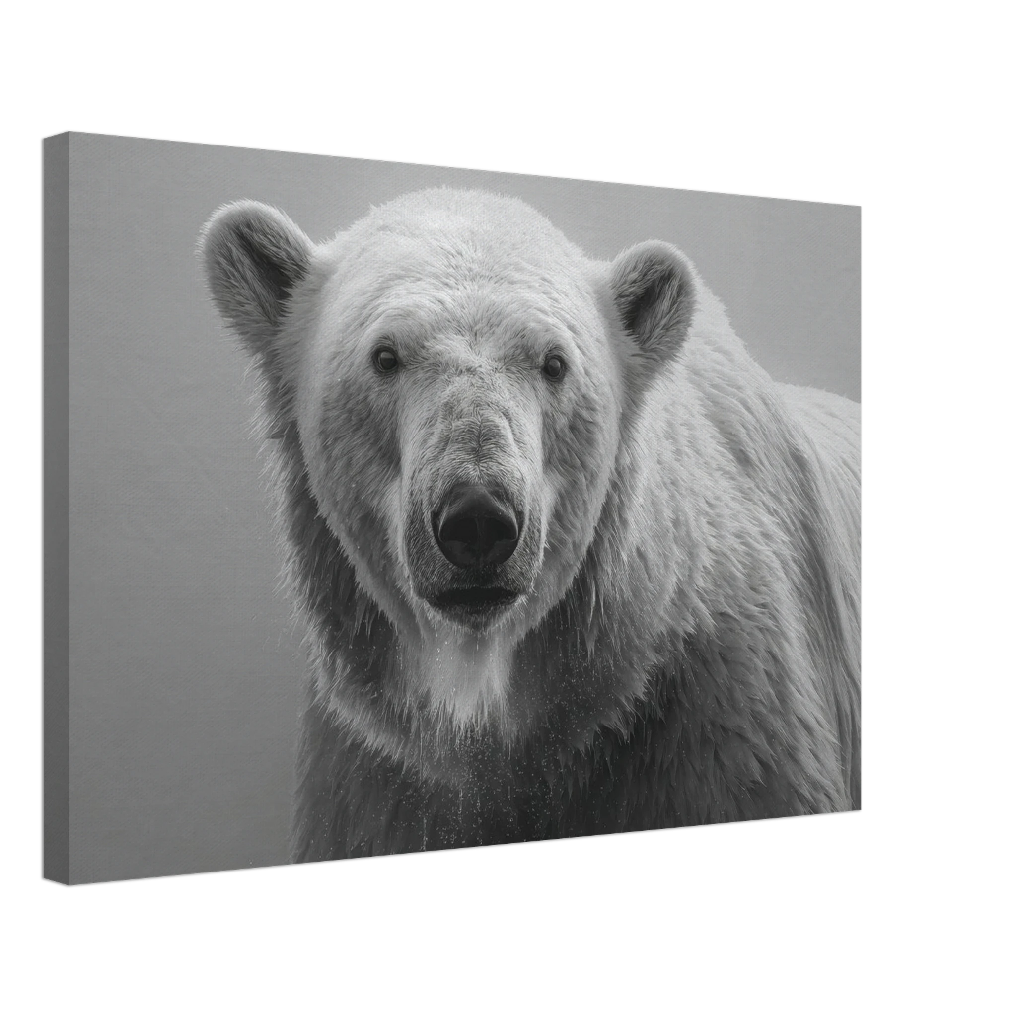 664ad7ce-27a9-455d-9ded-2913b0fcae76