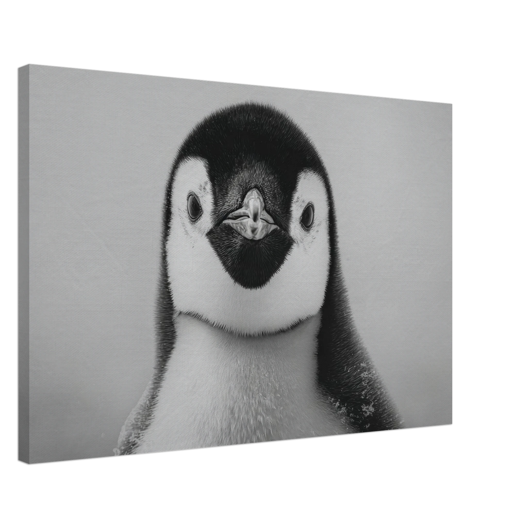 6936e988-b4c4-4be5-8007-56468ed917a5