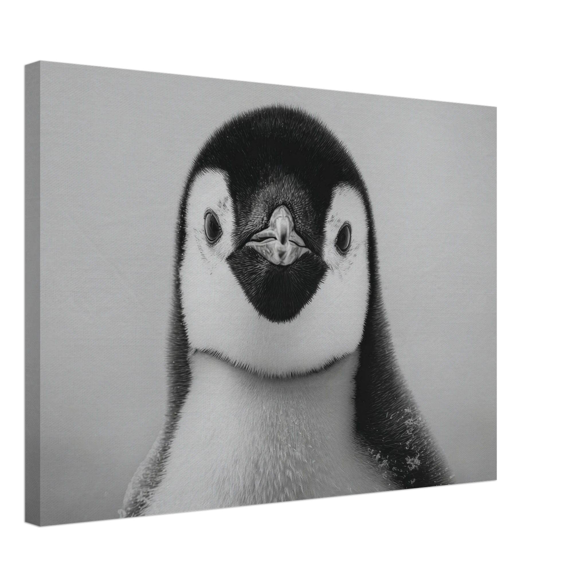 7750af60-3bd8-42d6-ad6d-45b98dd694bf