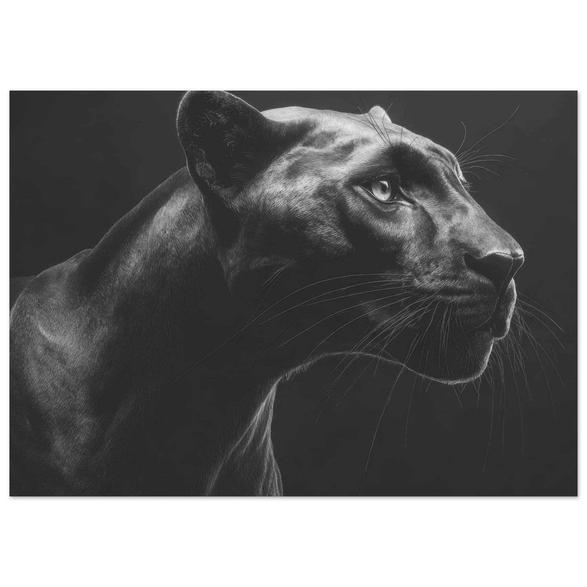 7ef67578-3432-4d8f-8c6d-0a256882de78