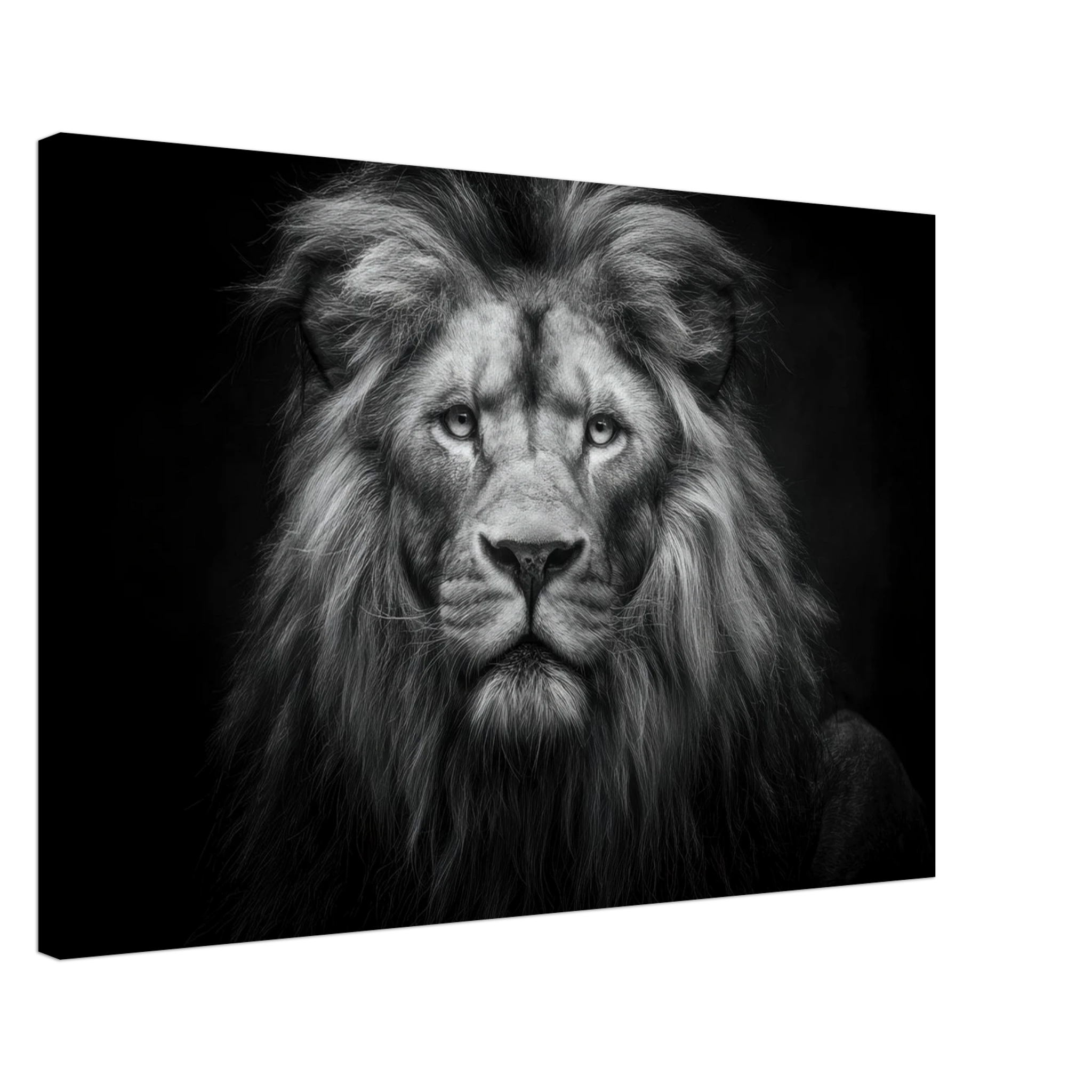 88cca03f-39f7-44af-8864-d18aa6f62eca