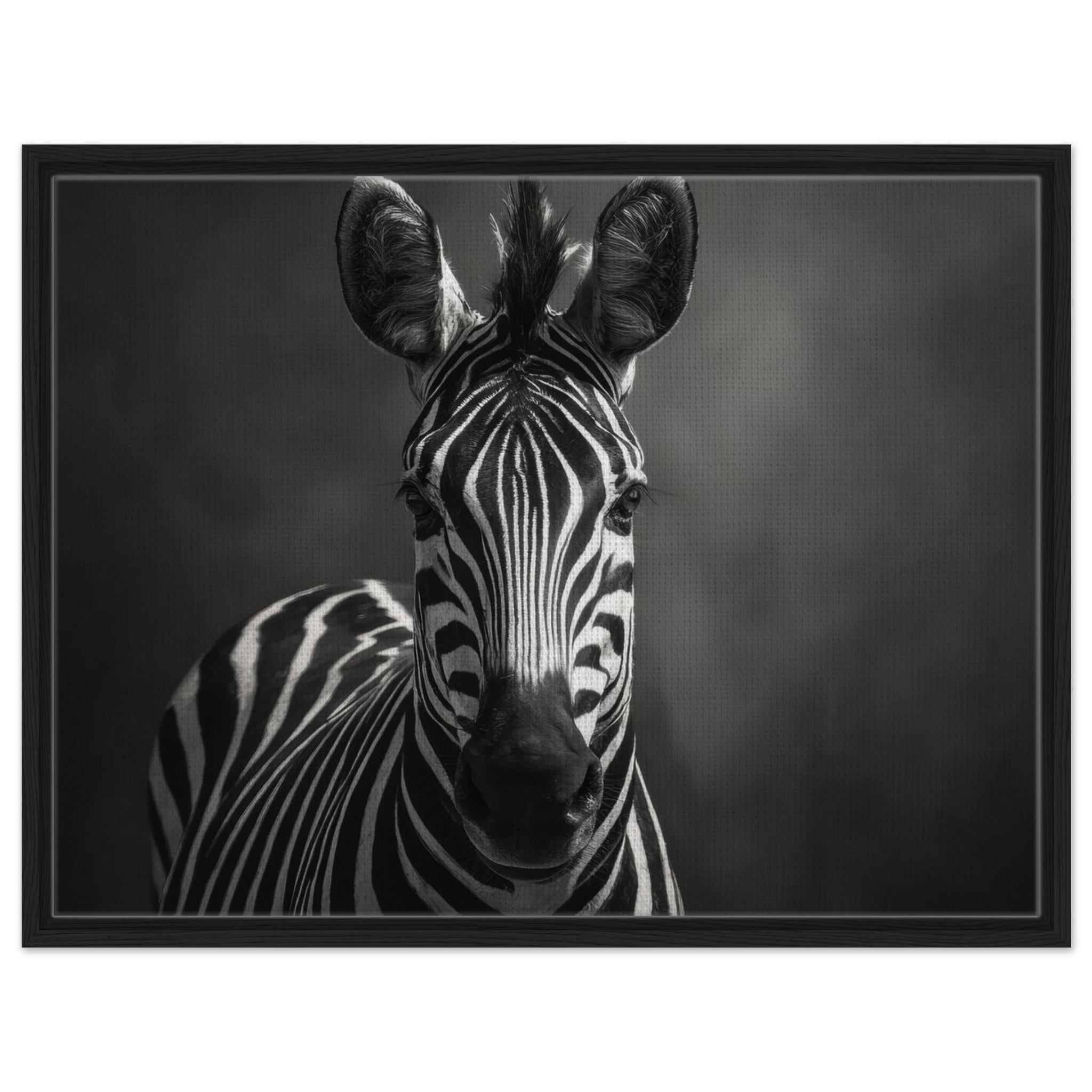 8d17b8b7-2513-4bd3-aa04-1d7d5f2b1ccf