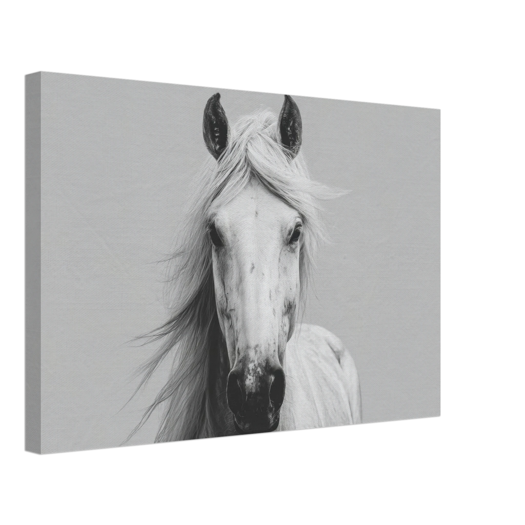 9308501f-f433-4c9c-af37-c3b73bc1a224