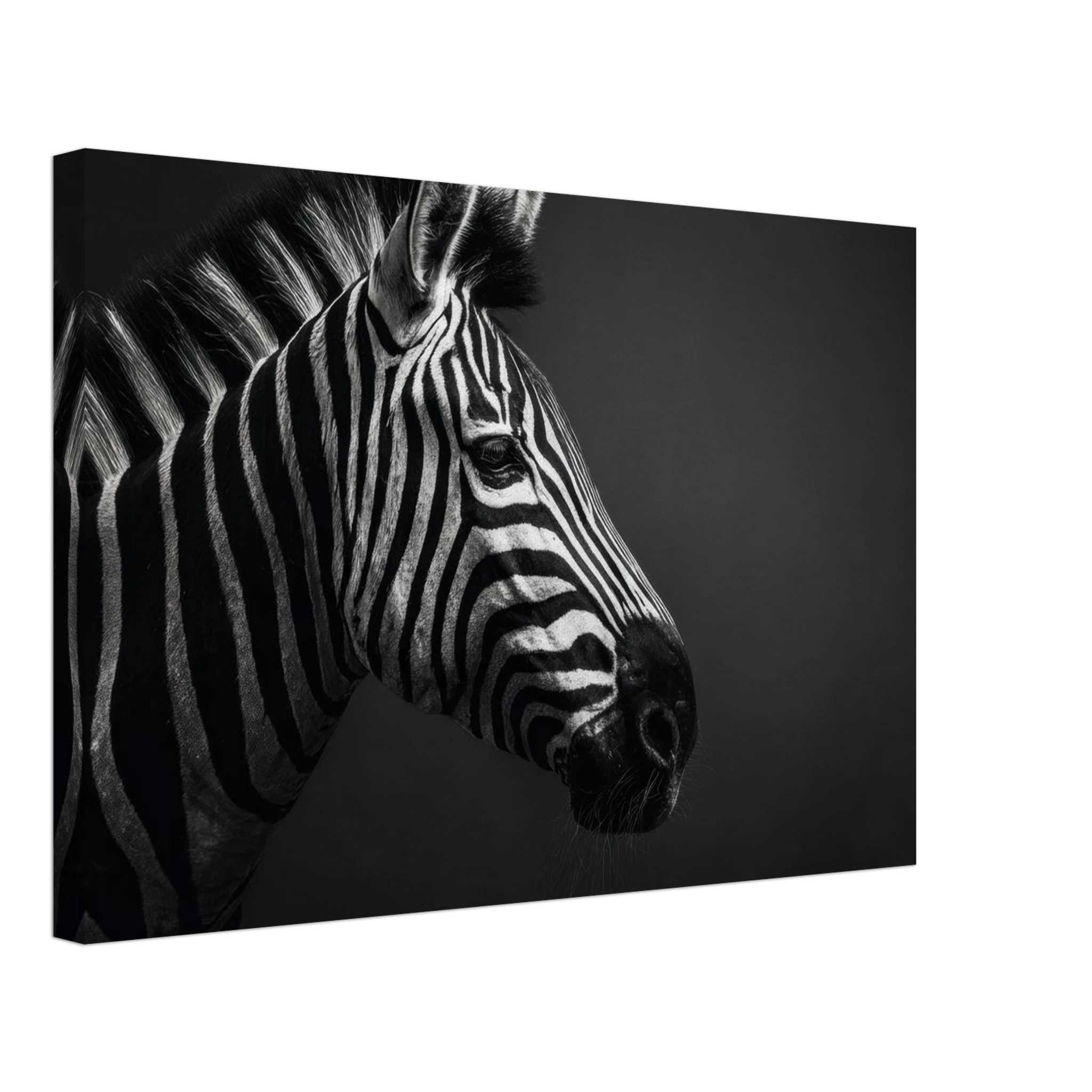 9365c453-11cd-4988-b365-e11eabe96e92