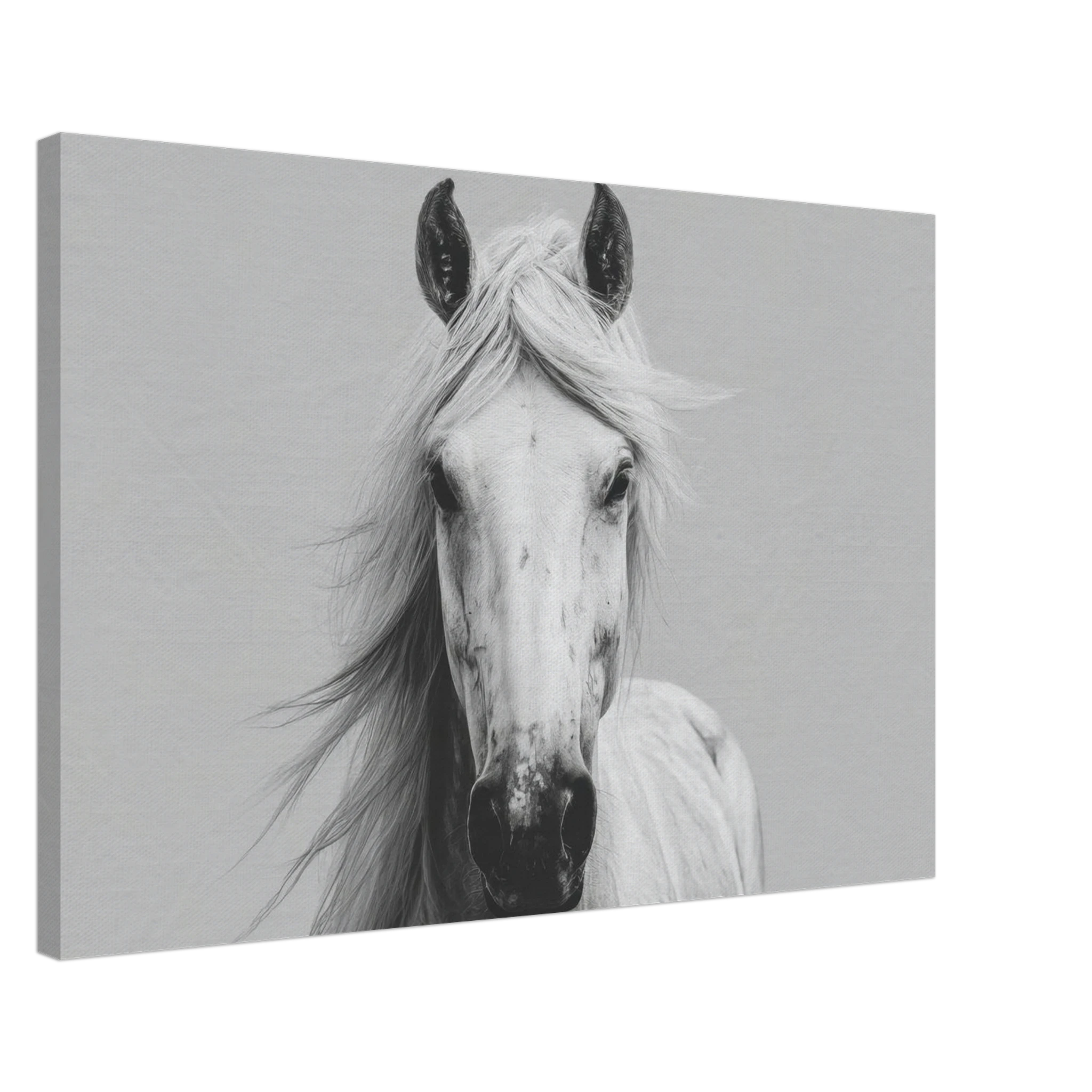 95e2a8f3-1467-4e4d-bc81-f95e73f46d1a