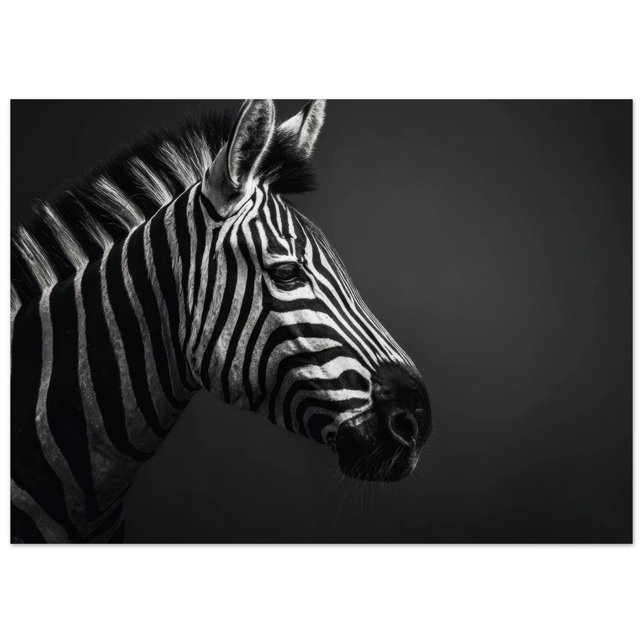 9da9ff08-2d67-4f75-9c41-525ca0a6e8e3