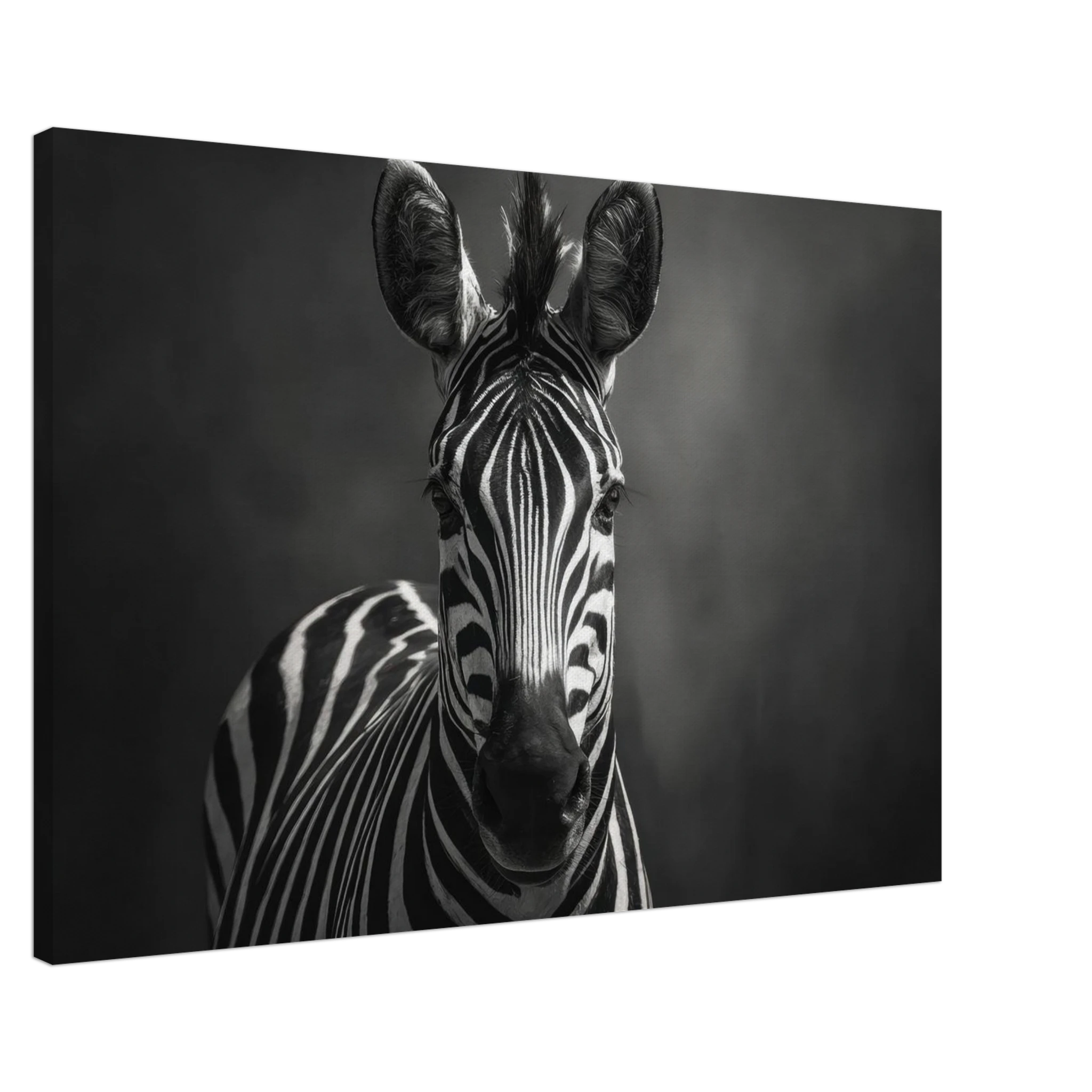 a088b4dd-f09a-4f9e-9d0e-c258b4f52250