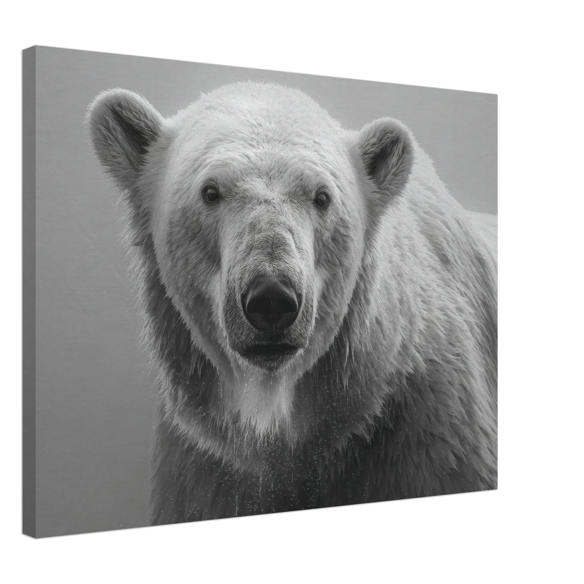 a8367e77-9e02-4a99-8bb7-ae5f9f60d9b1