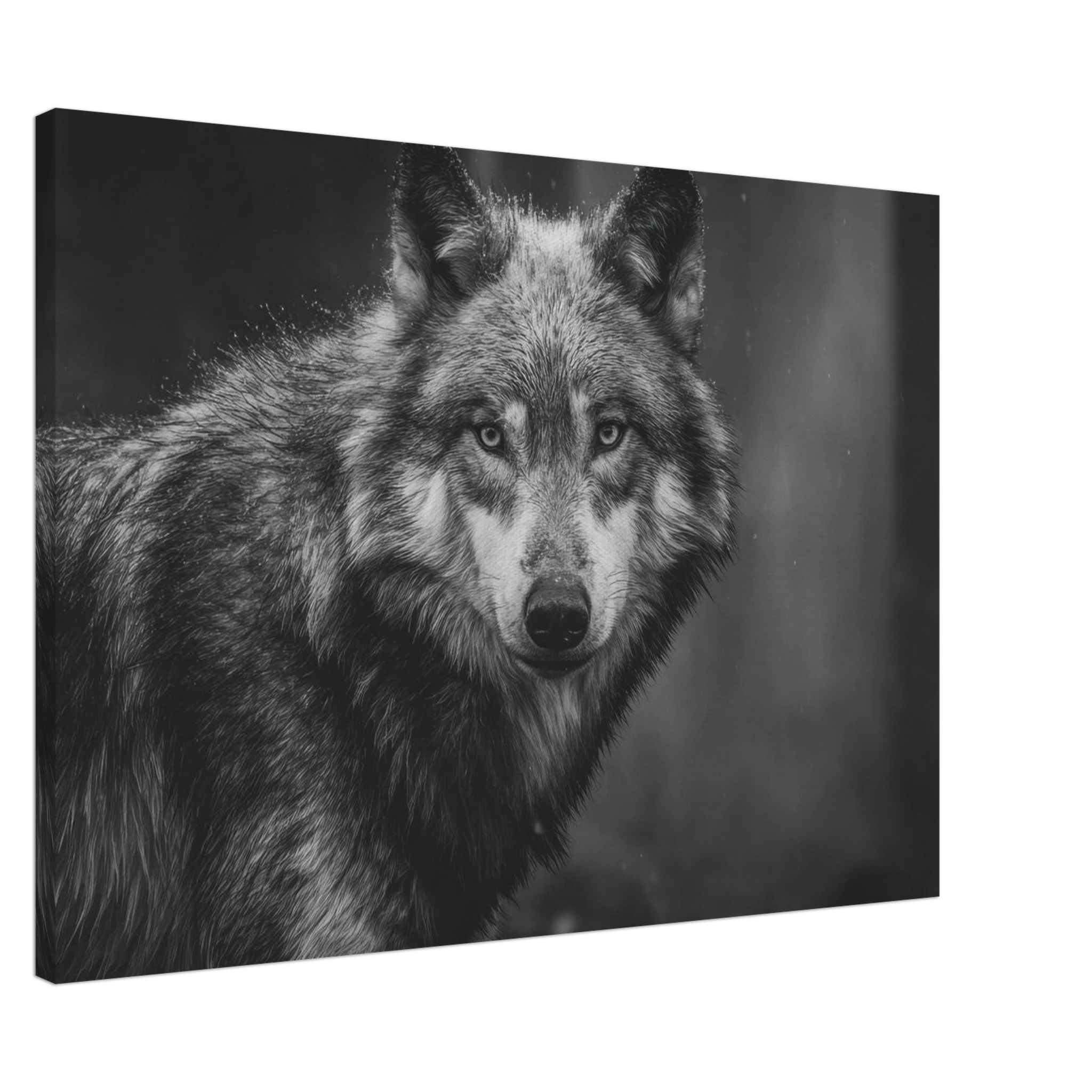 ab8518b5-cd30-4b89-8591-5e3ea8f17c69