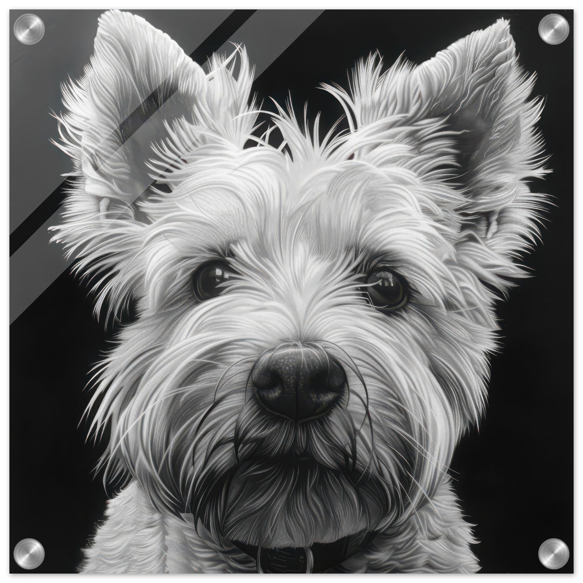 Acrylic Print Square - Dogs Westie Art - Shop Ai Art WebShop - Digital Art online Store