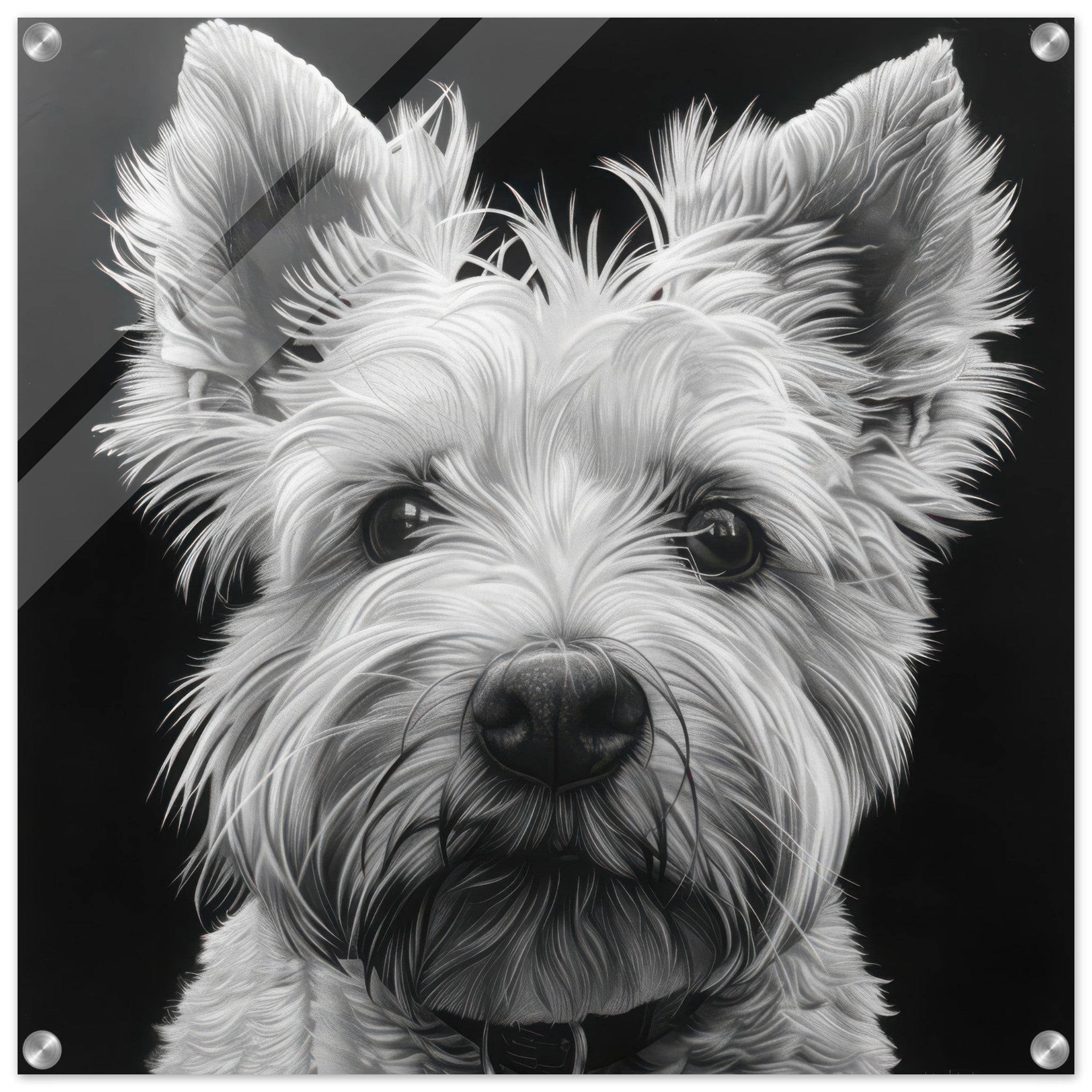 Acrylic Print Square - Dogs Westie Art - Shop Ai Art WebShop - Digital Art online Store