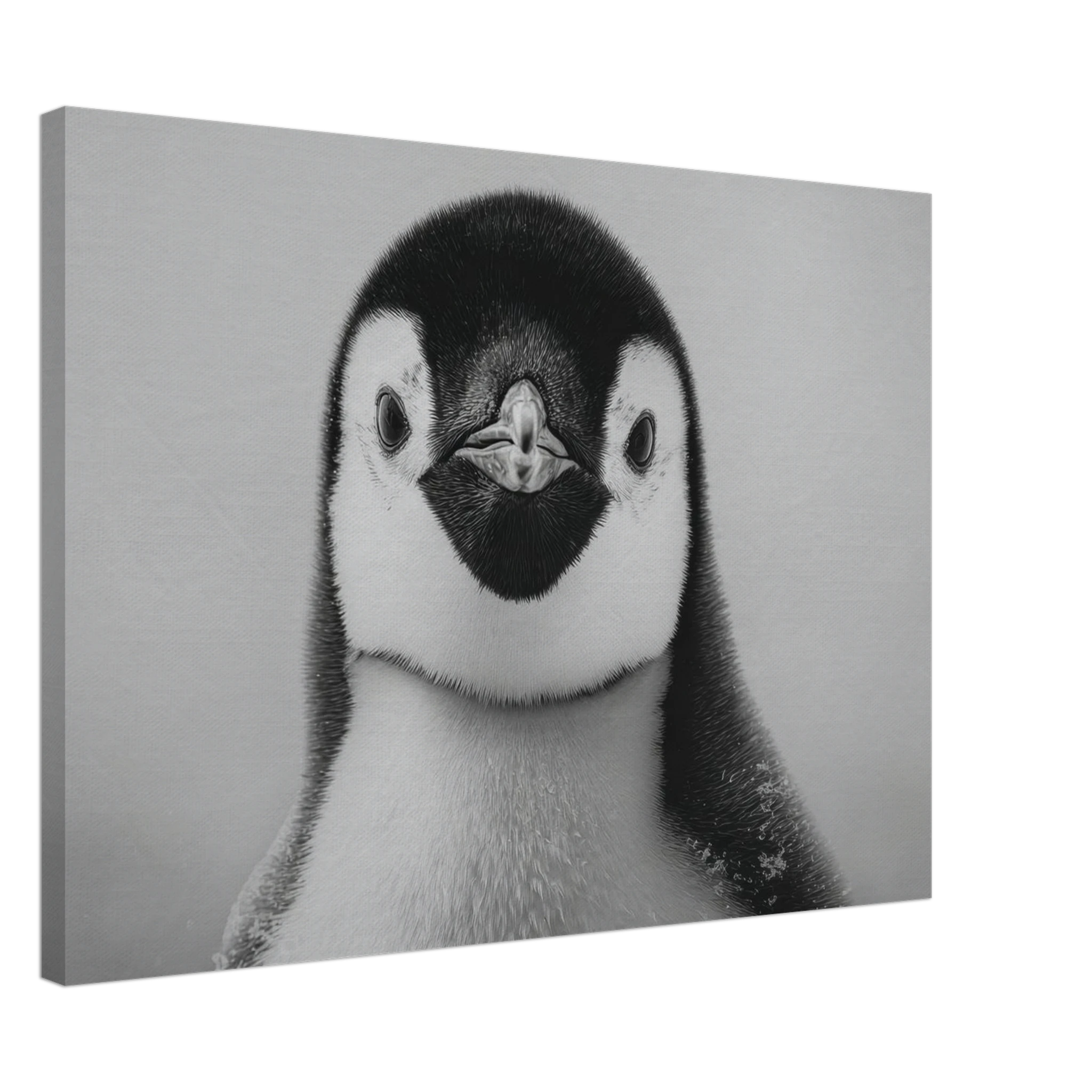 b21bd09e-f44f-4800-948b-b5d57ce21708