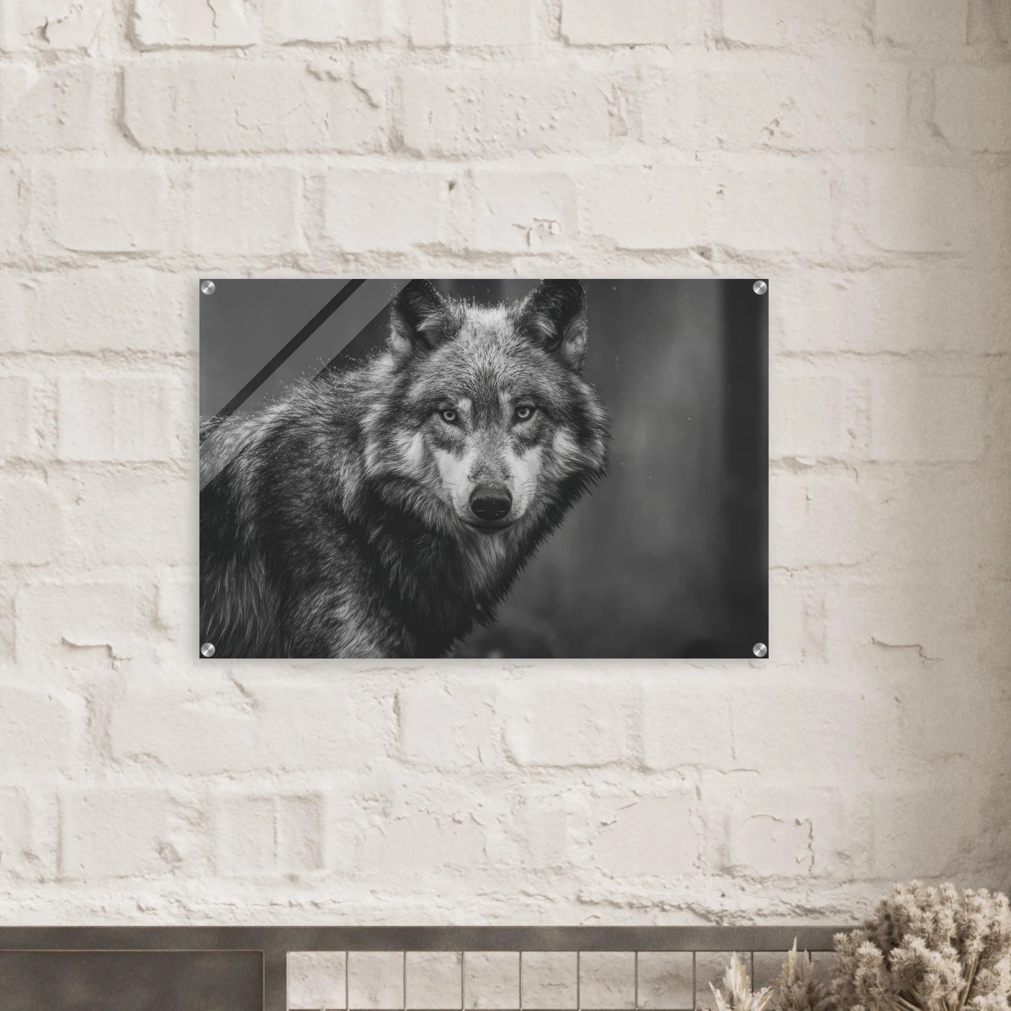 b43d025b-c124-4fe8-becf-d4b86b5897cb