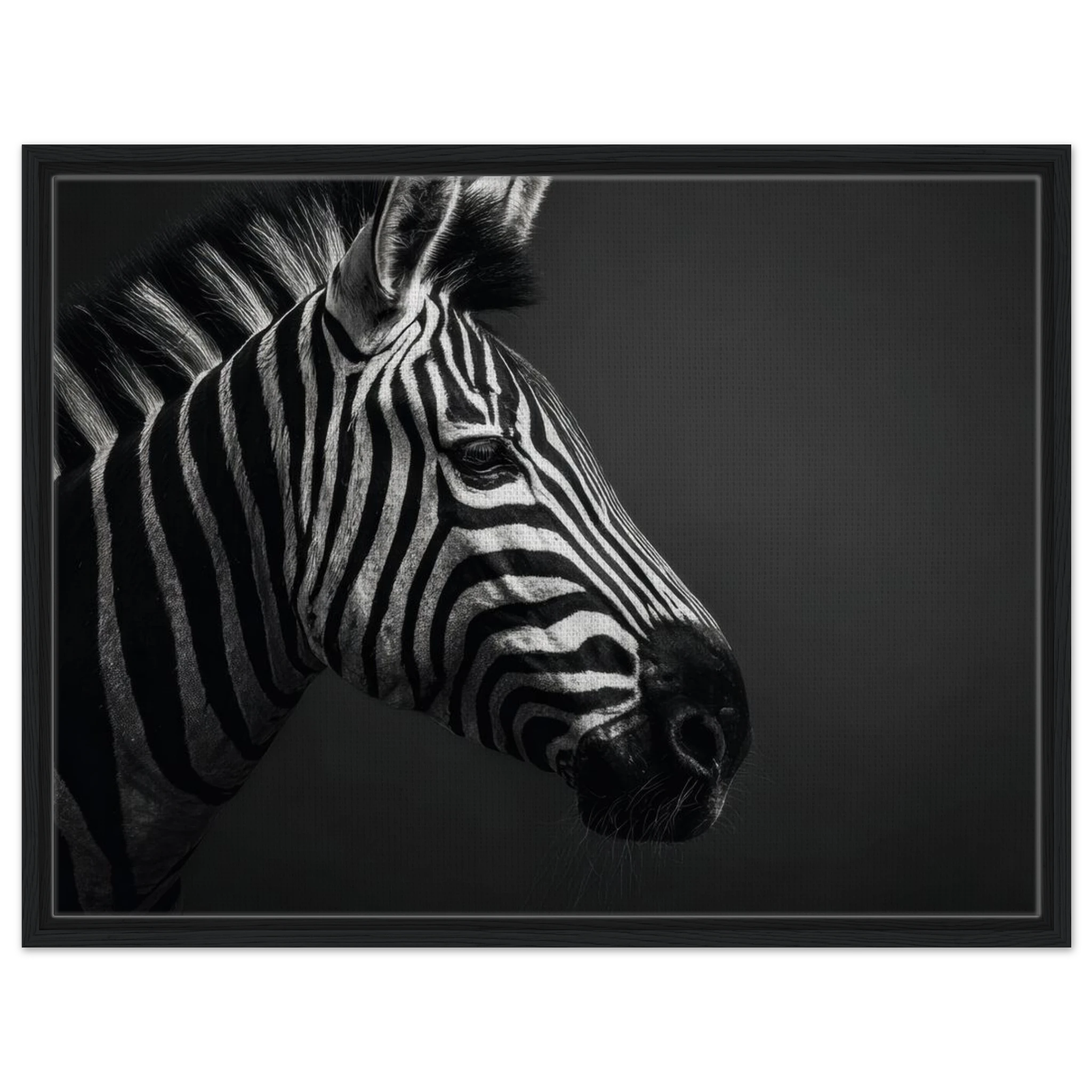 ba51f56b-47a6-447c-9fe3-41b992fc6cbe