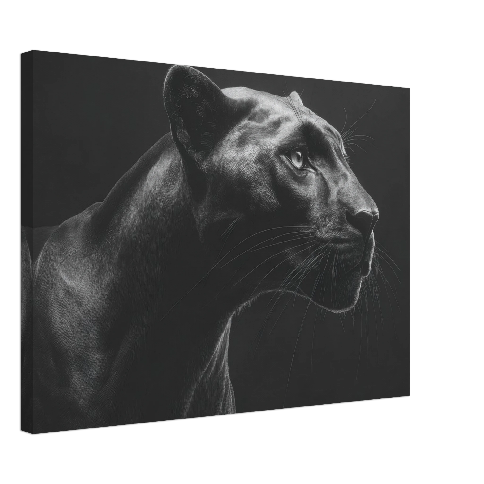 bca4daae-6697-47f1-a80e-82b37cc27b3a