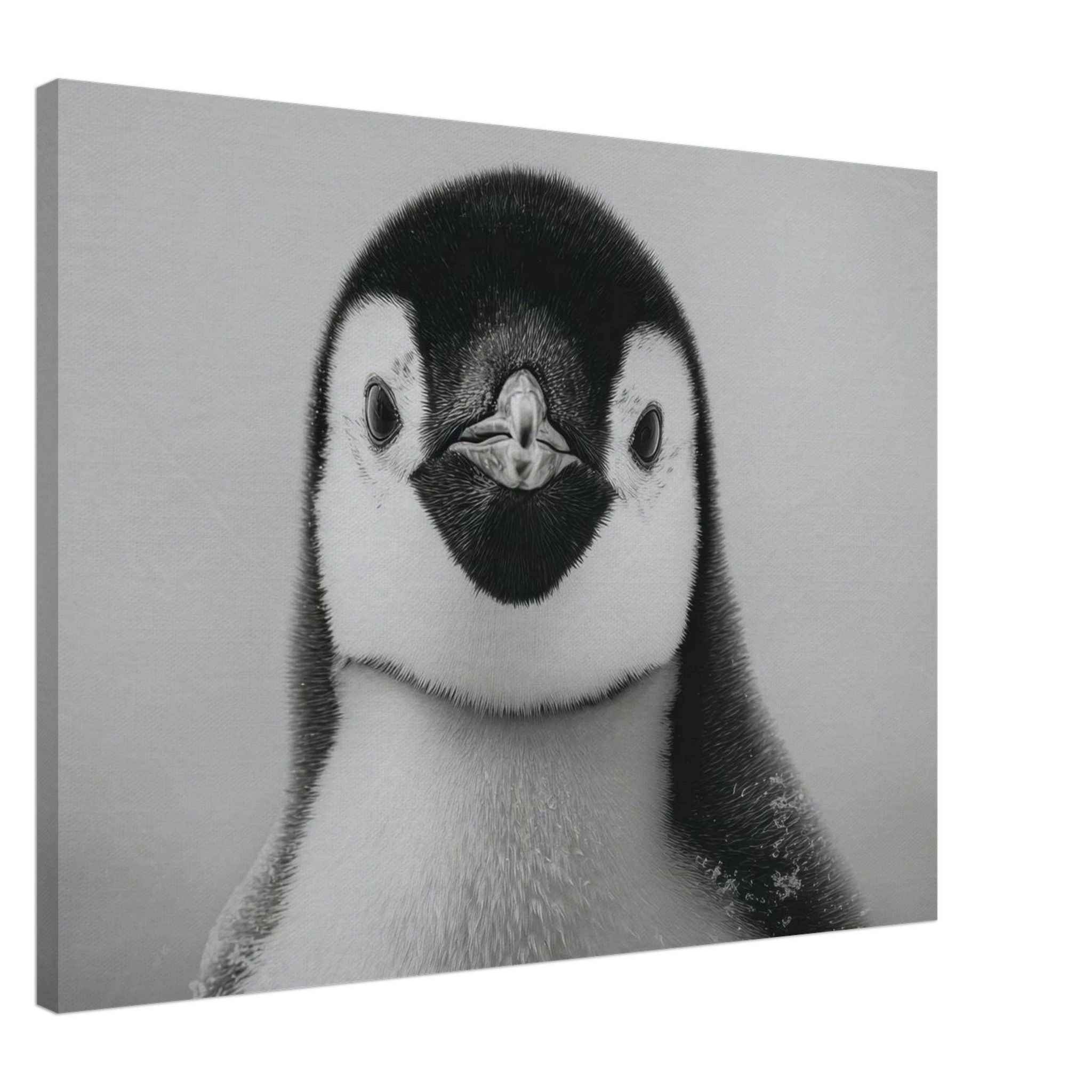 c472a0b9-a77e-43f8-b7a5-b58b859dc242