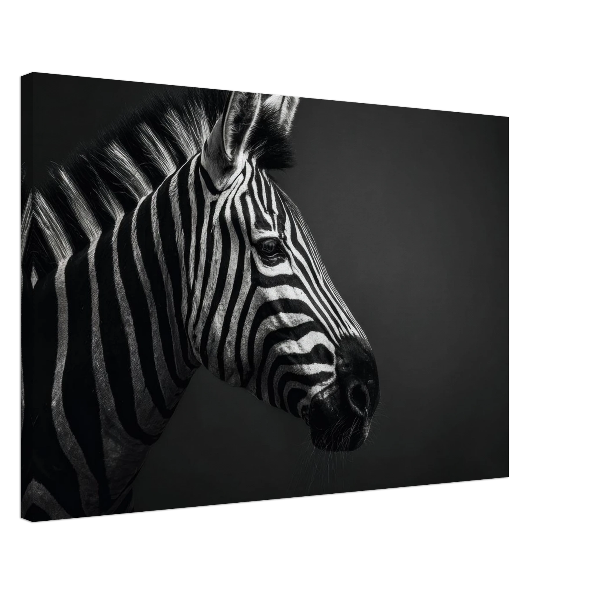 c7bf15a3-804a-4f95-92e7-d95ce0103c8b