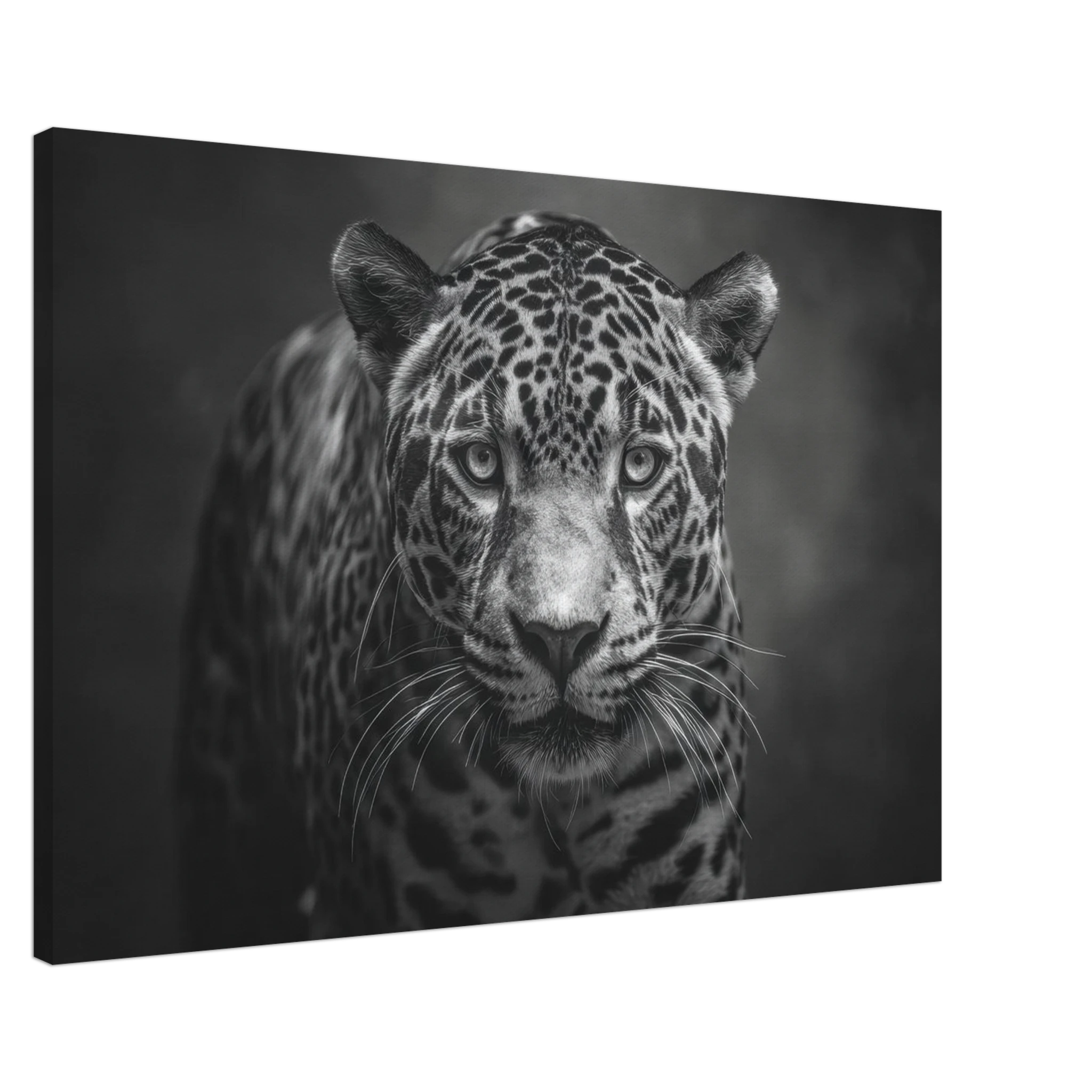 ccbd62a9-4f75-4d1a-8198-4080c6ca87c3