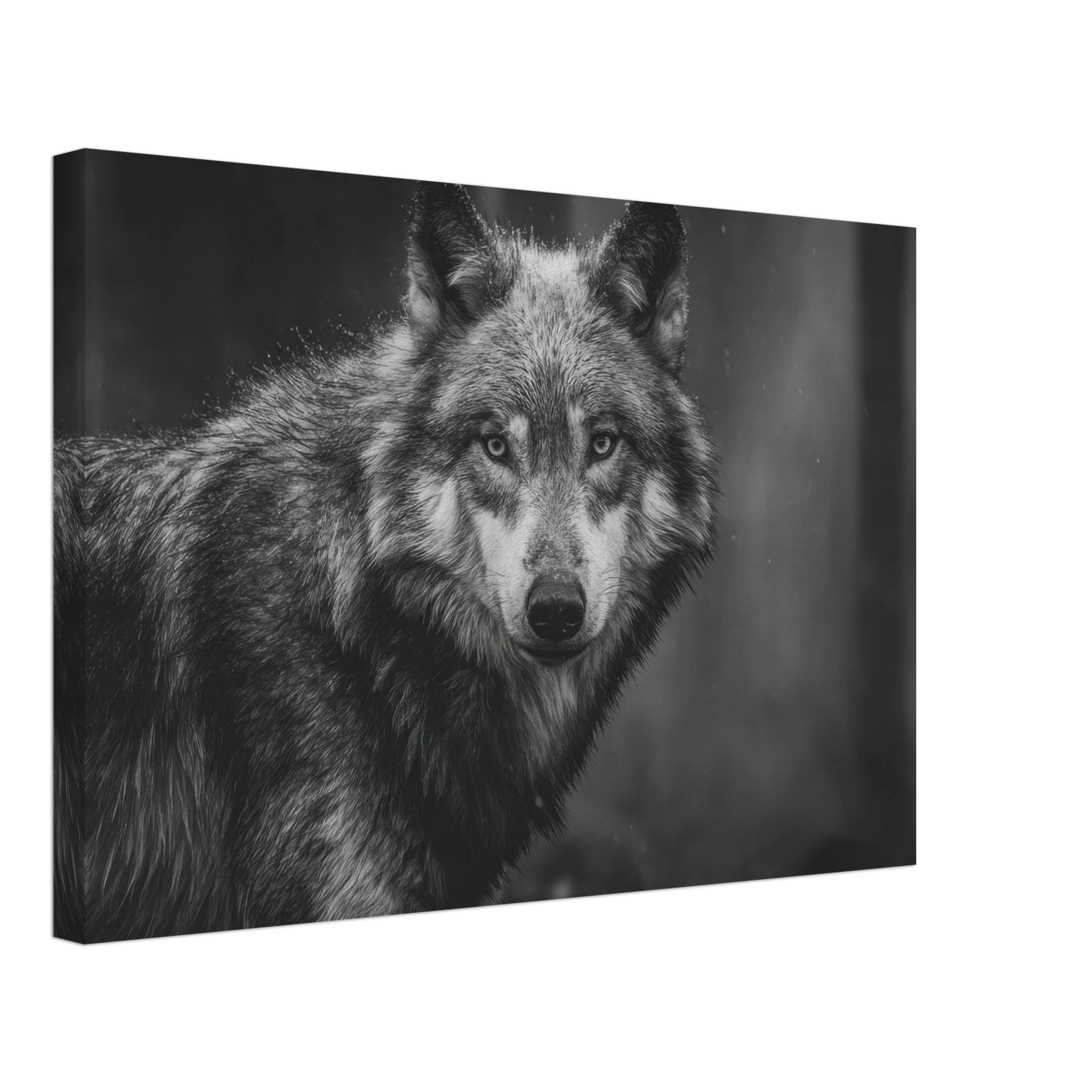 d09e9b3d-8257-4fc9-8552-a39113d94296