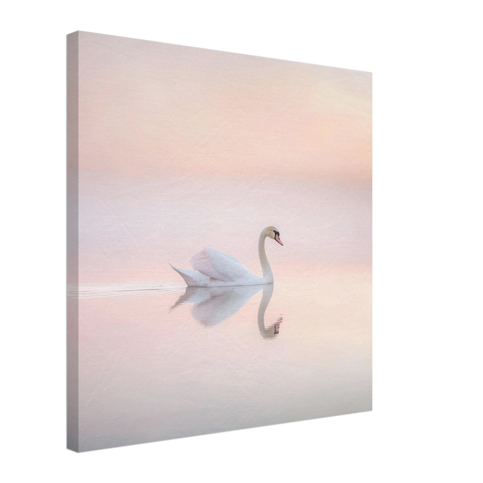 d1630551-fc7d-49ba-977c-a4b889b6ac45