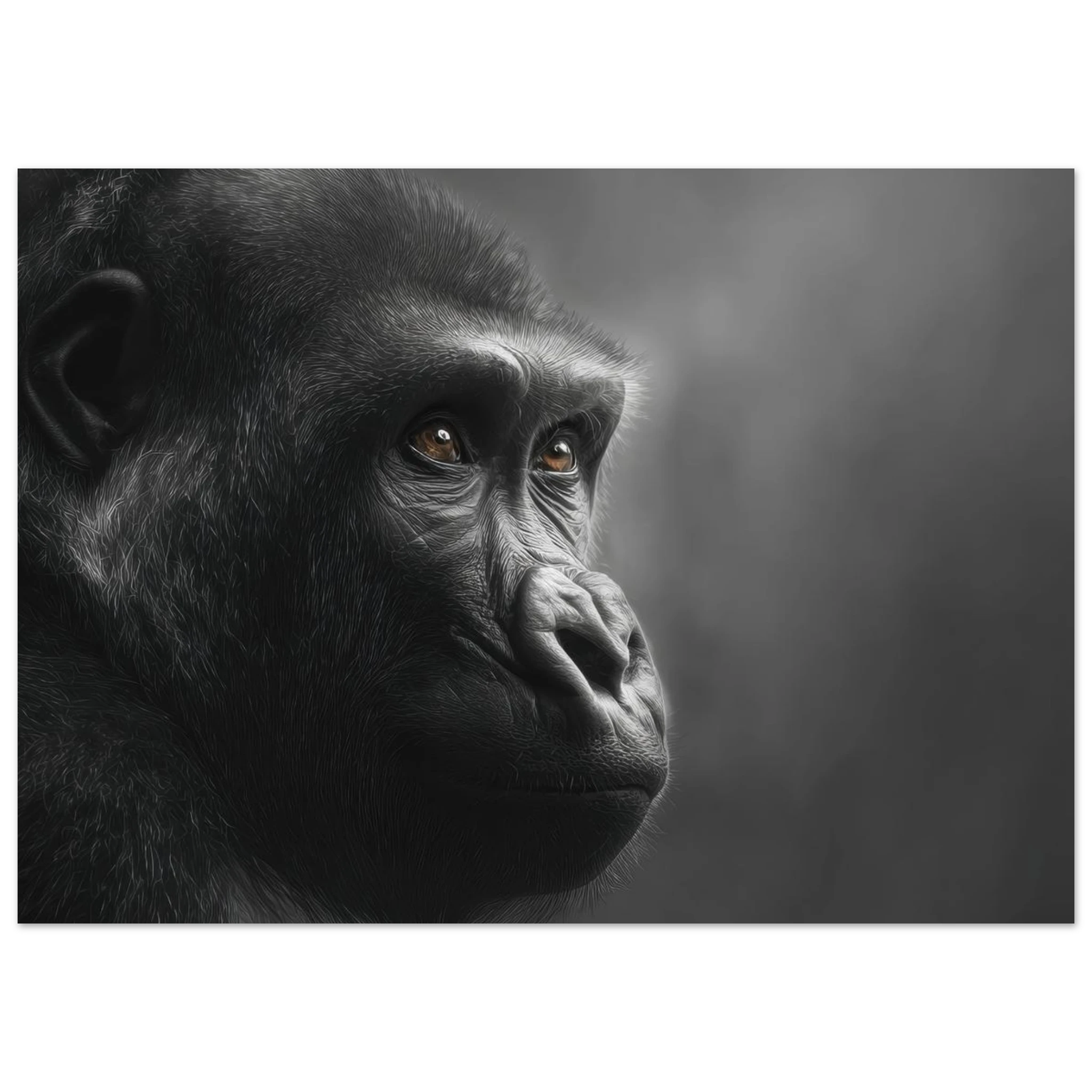 d78db207-93dd-4871-9e3f-40bd3359d565