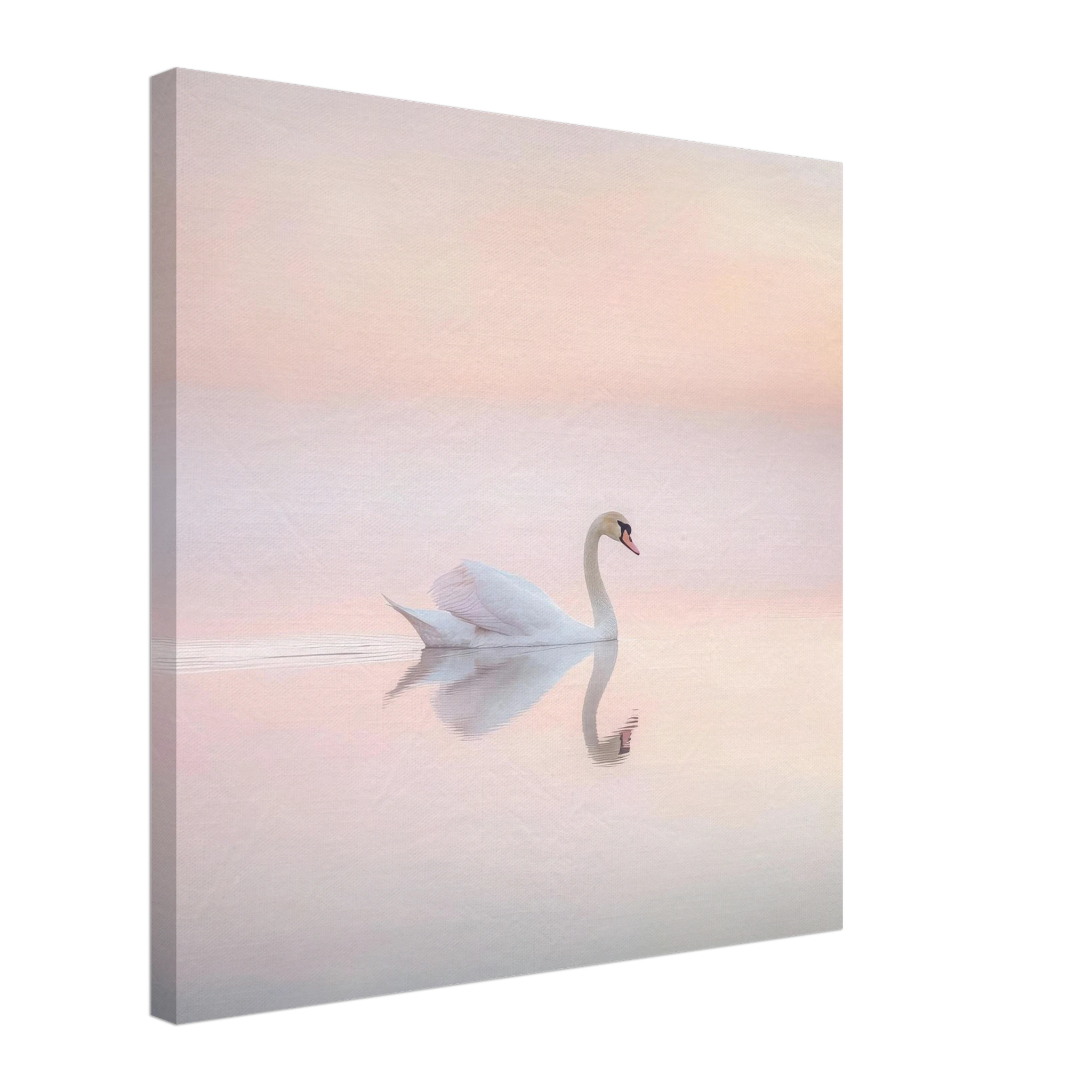 ded14a8e-0f75-4225-81e1-0d00c33240bf