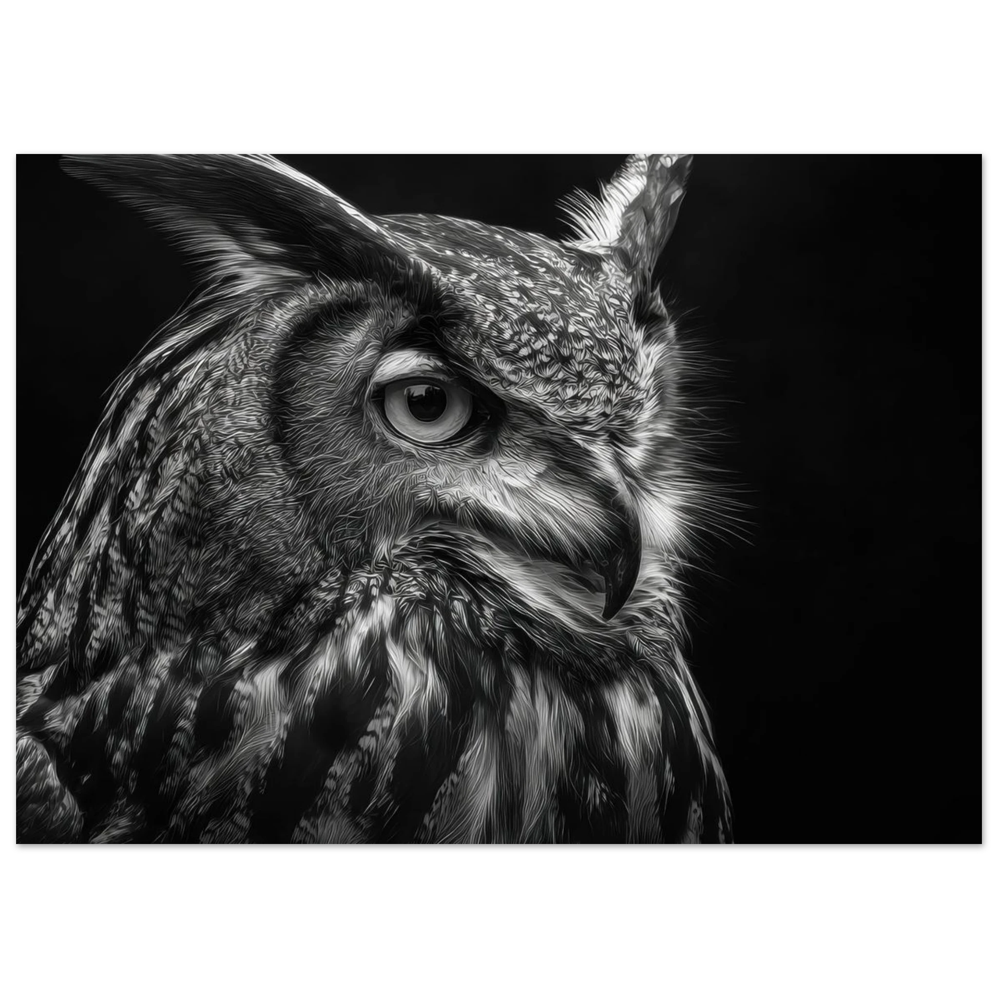 e58b55f1-986e-4bae-81ab-76c47050ce6b