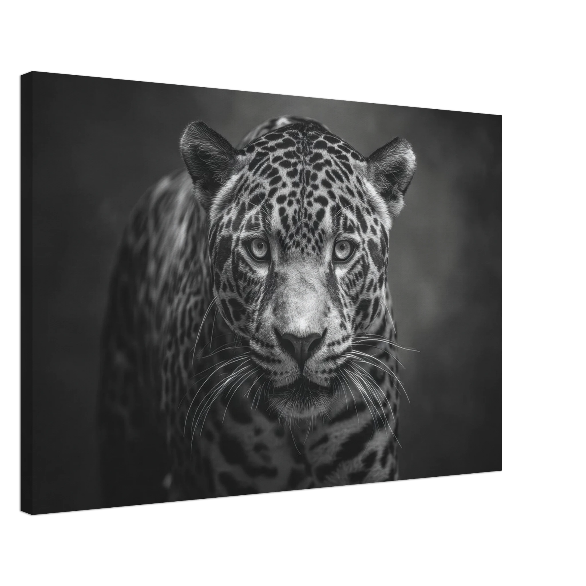 e91b5c36-9b56-44e0-908f-a583937b3270