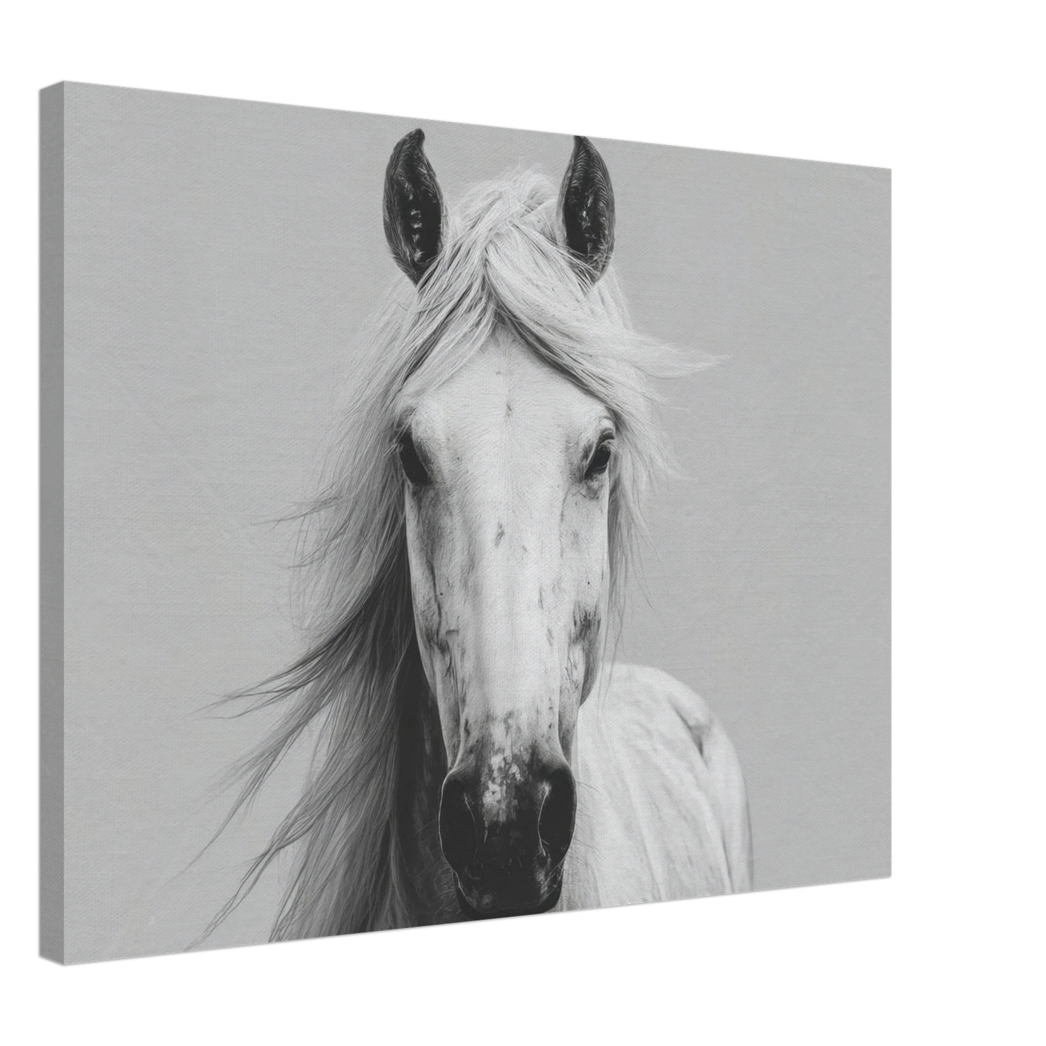 ec4b2a87-d9cf-4098-a26c-f890dc82e5d9