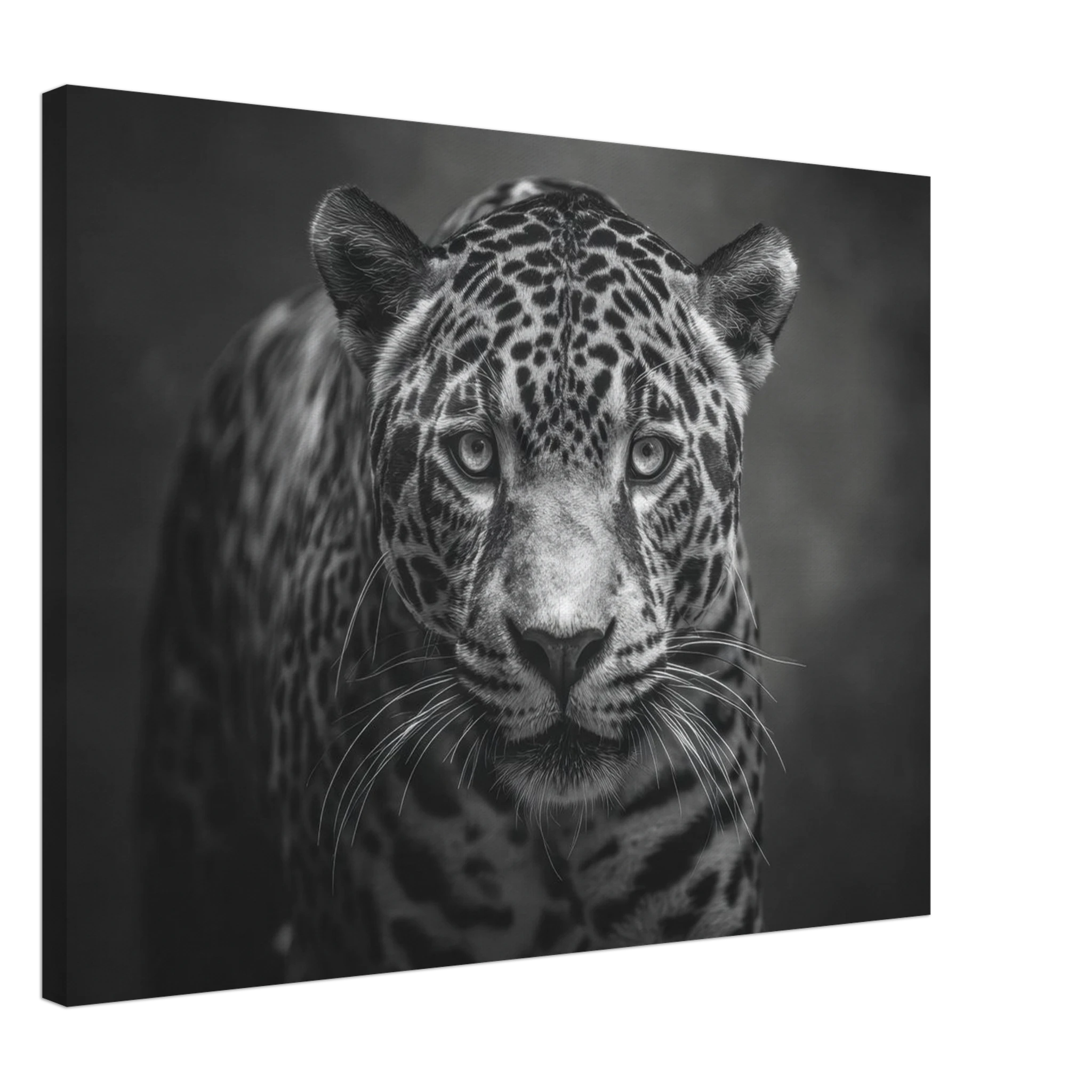 fa03269e-67c6-4e7c-9e80-8c640a170596