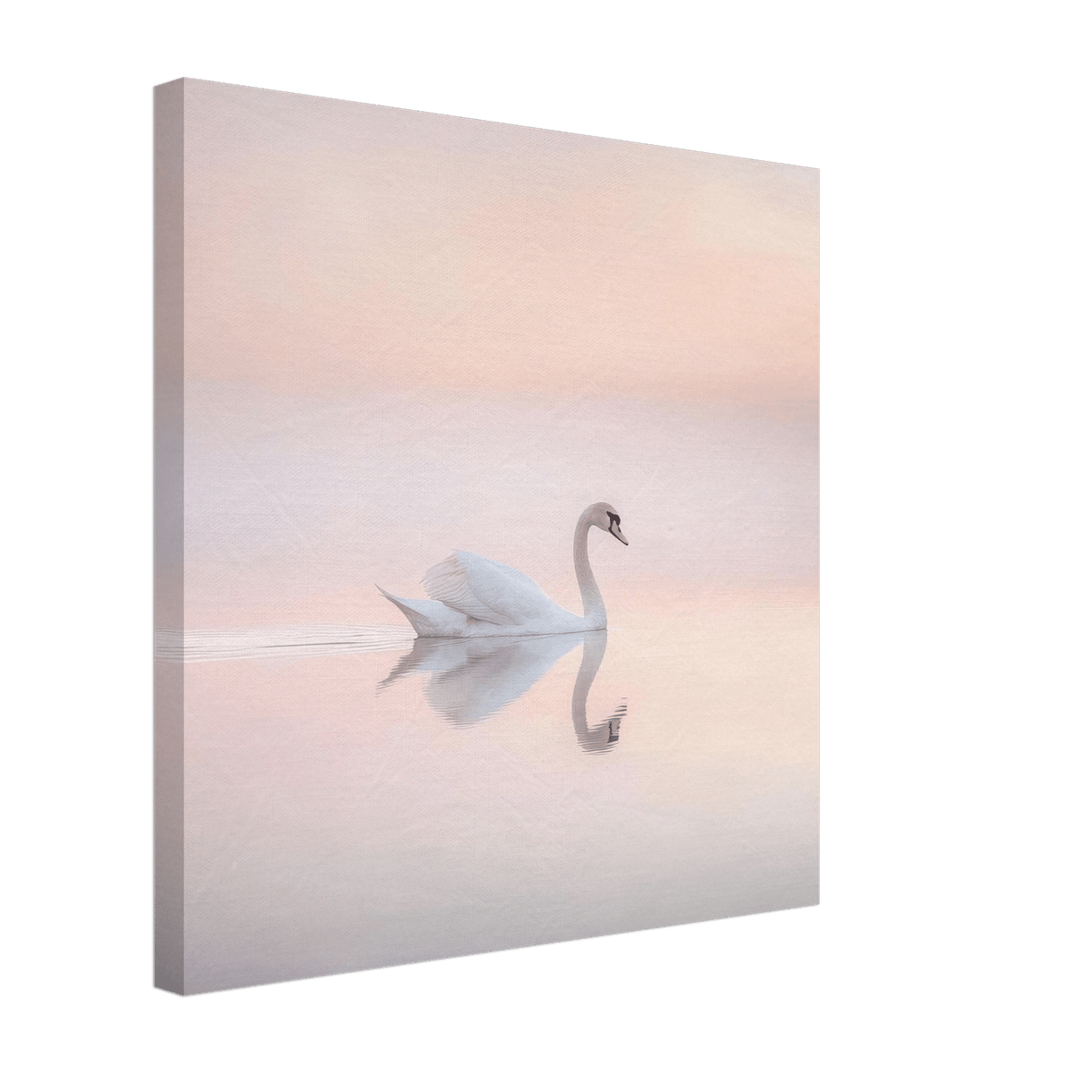 Graceful Swan on a Serene Lake 3 - Shop Ai Art WebShop - Digital Art online Store