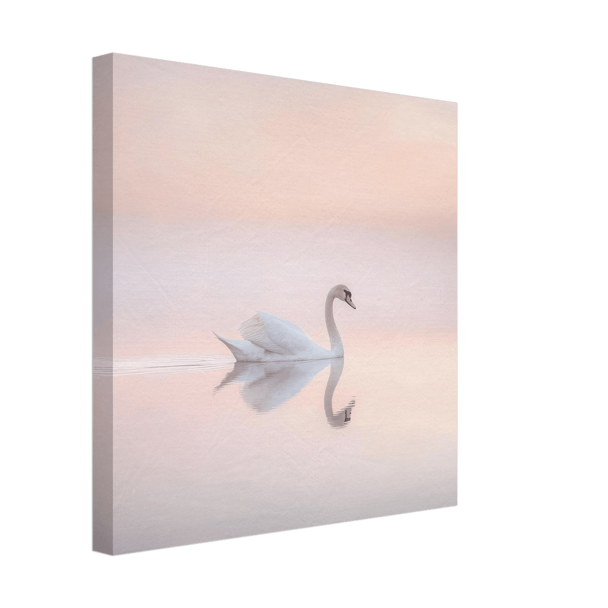 Graceful Swan on a Serene Lake 3 - Shop Ai Art WebShop - Digital Art online Store